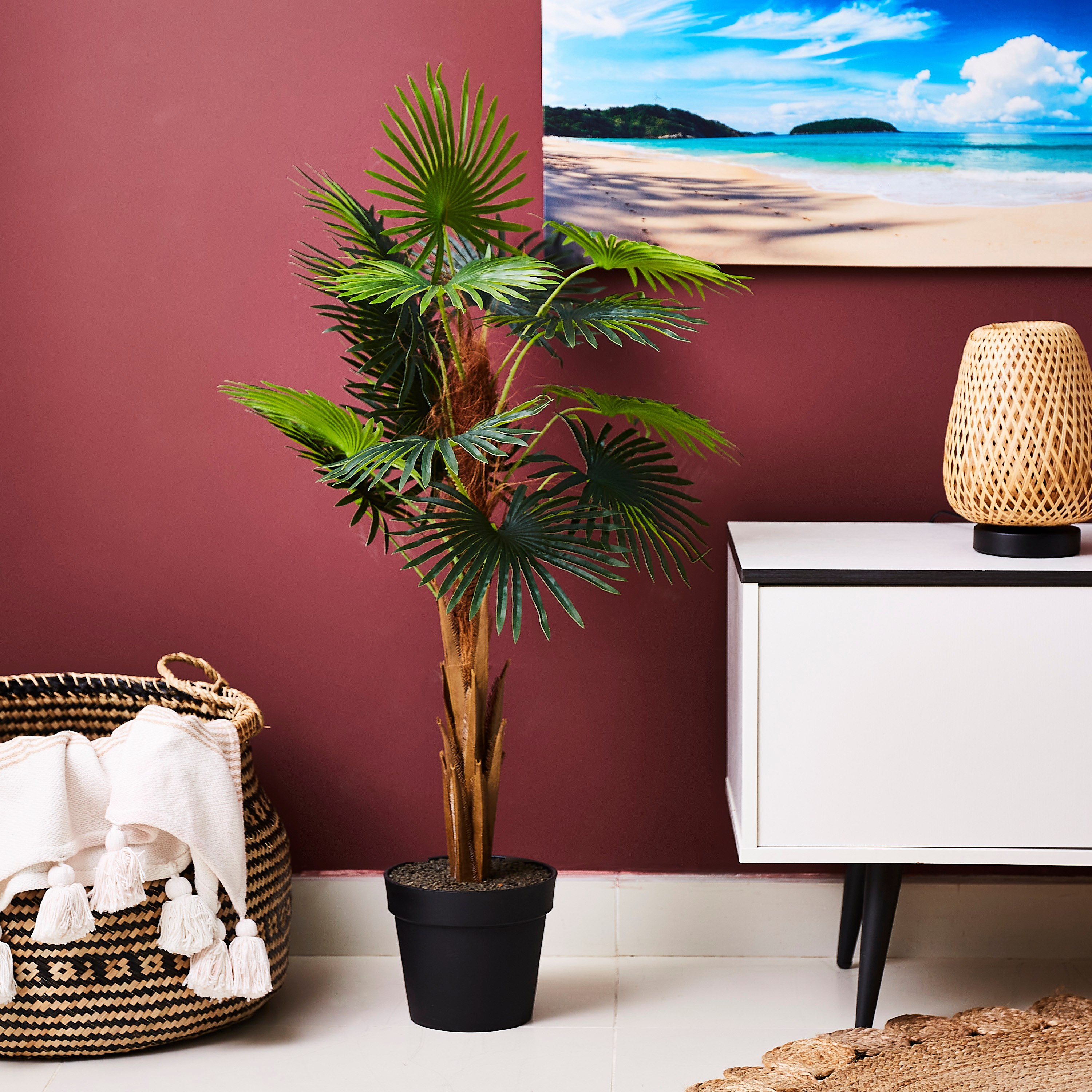 نبات نخيل كبير بوعاء من ليفيا-PROMO_HB_AE_B1G1_250925-image-1