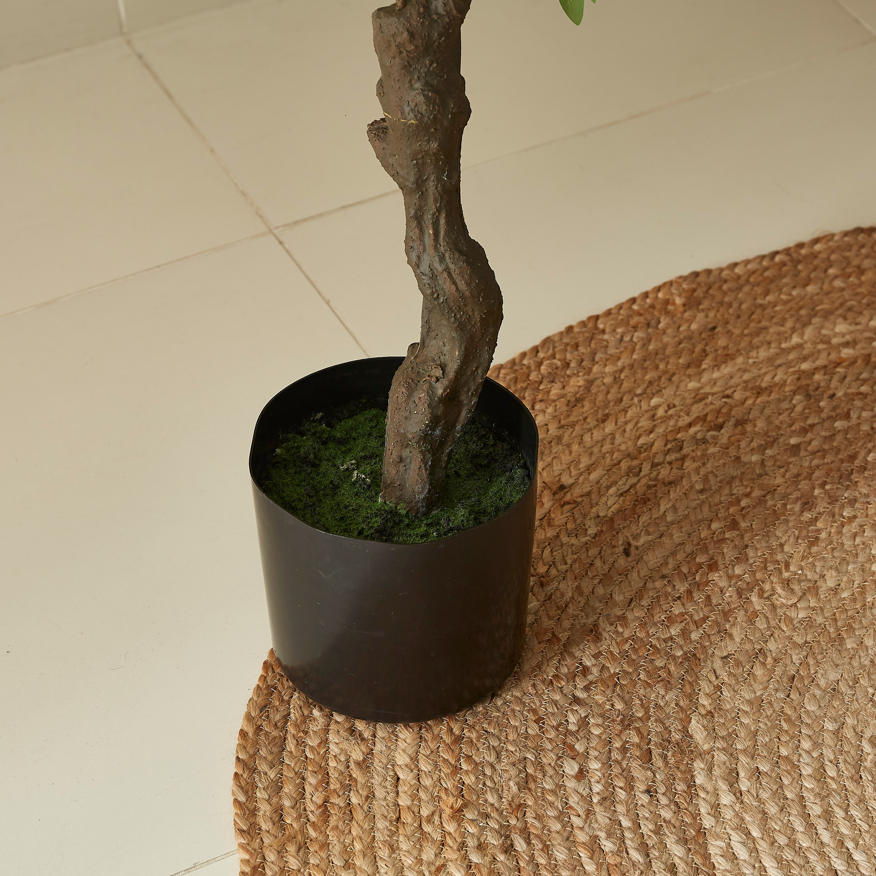 شجرة تين صناعيّة من تيودورا - 180 سم-hbxdecorandfurnishings-homeaccessories-artificialflowersandplants-image-4