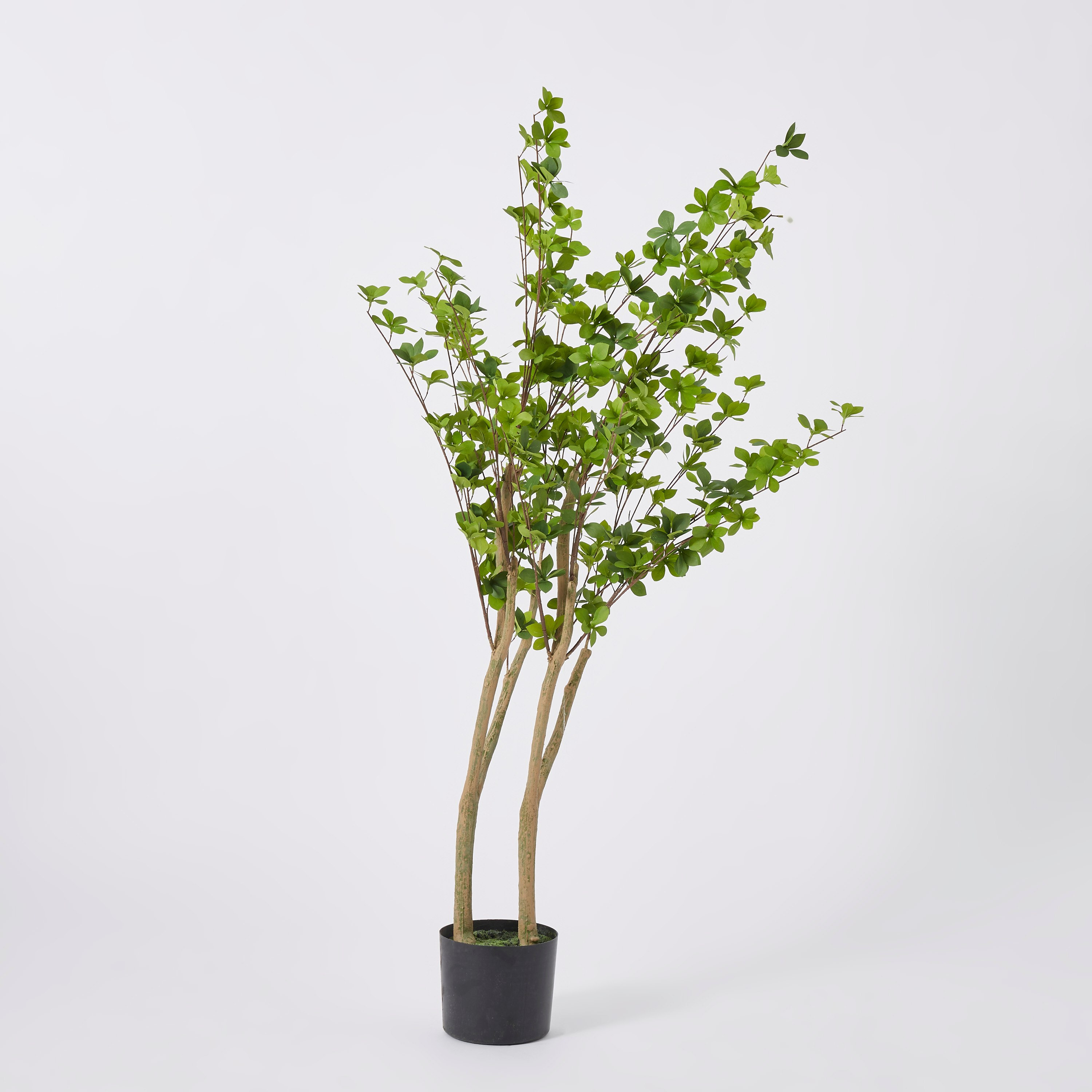 شجرة صناعيّة من تيودورا - 140 سم-hbxdecorandfurnishings-homeaccessories-artificialflowersandplants-image-6
