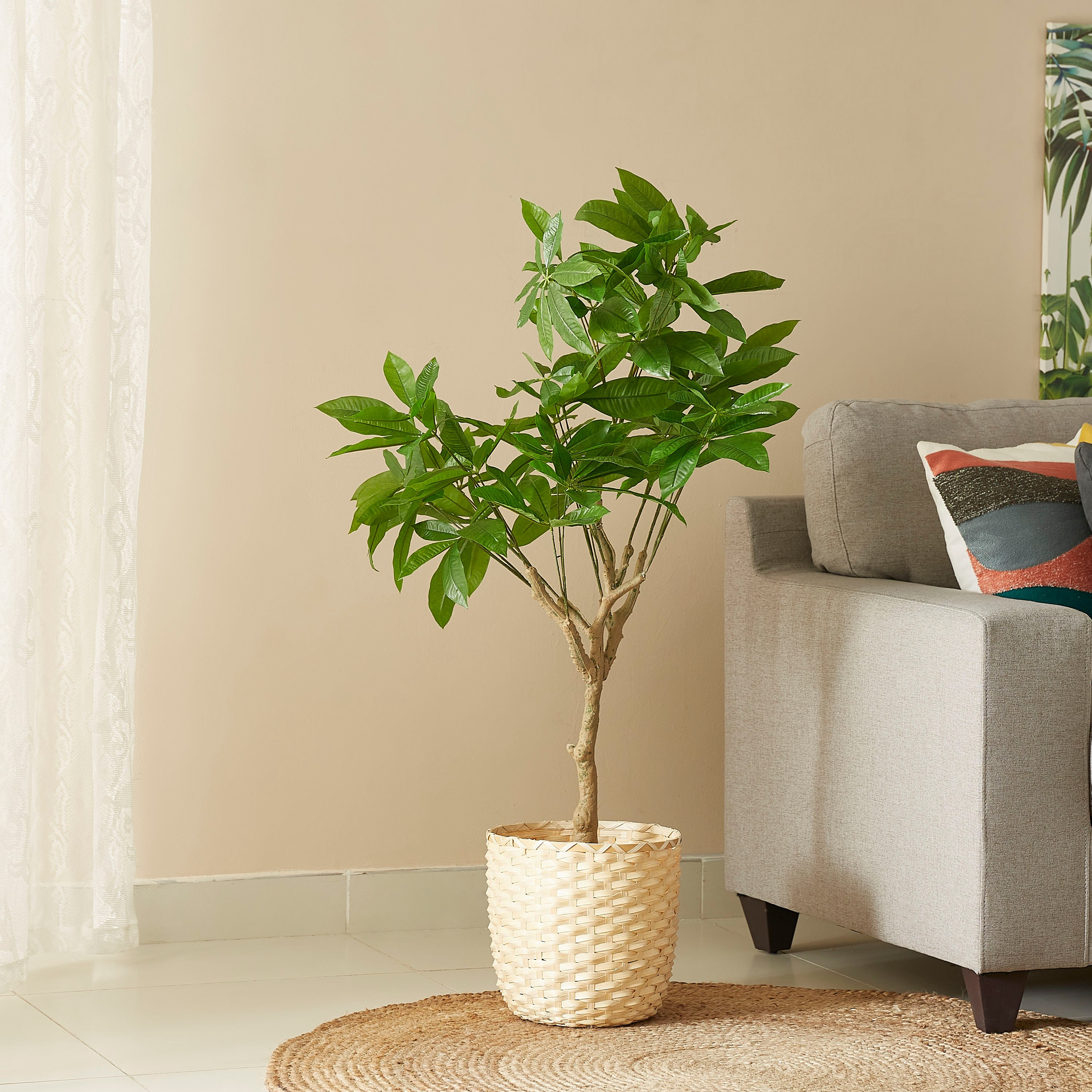 شجرة صناعية من تيودورا - 120 سم-hbxdecorandfurnishings-homeaccessories-artificialflowersandplants-image-2