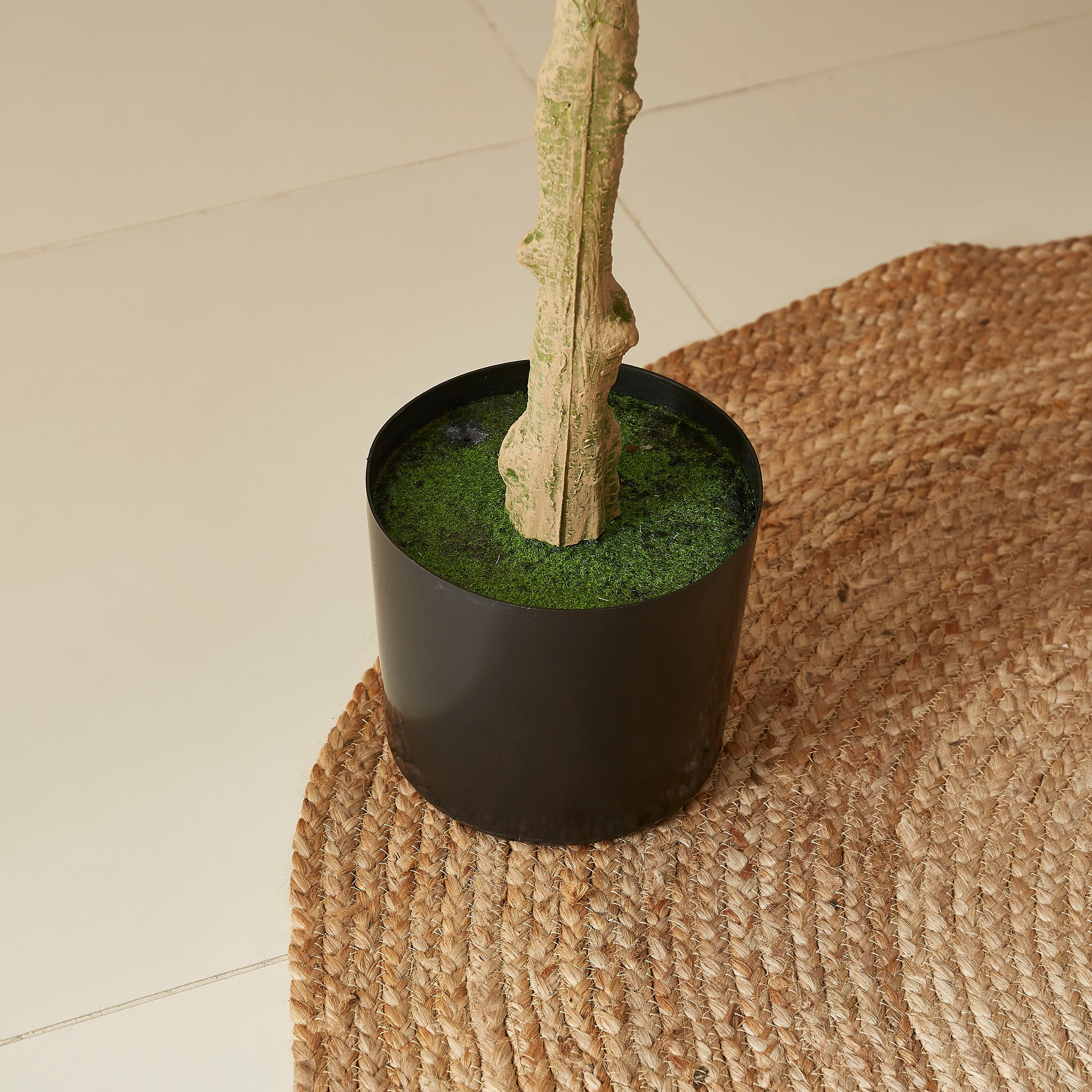 شجرة أونسيديوم صناعية من تيودورا - 180 سم-hbxdecorandfurnishings-homeaccessories-artificialflowersandplants-image-4