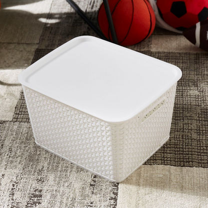 Spectra Royal Basket with Lid - 22 cms