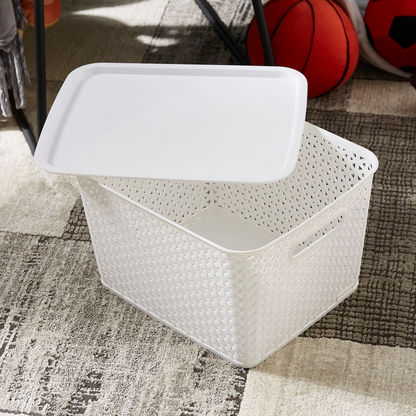 Spectra Royal Basket with Lid - 22 cms