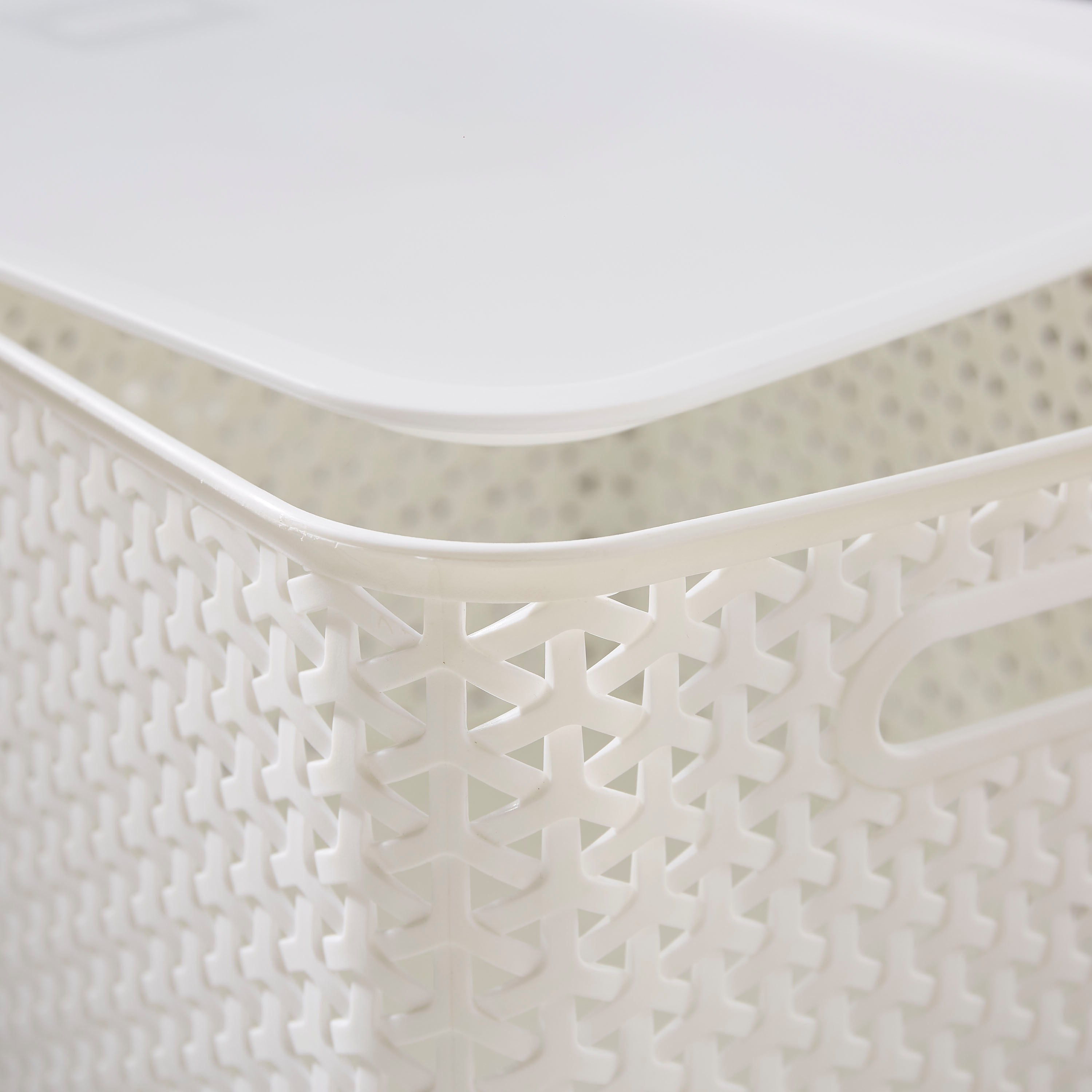 Spectra Royal Basket with Lid - 22 cm-PROMO_HB_AE_B1G1_250925-image-3