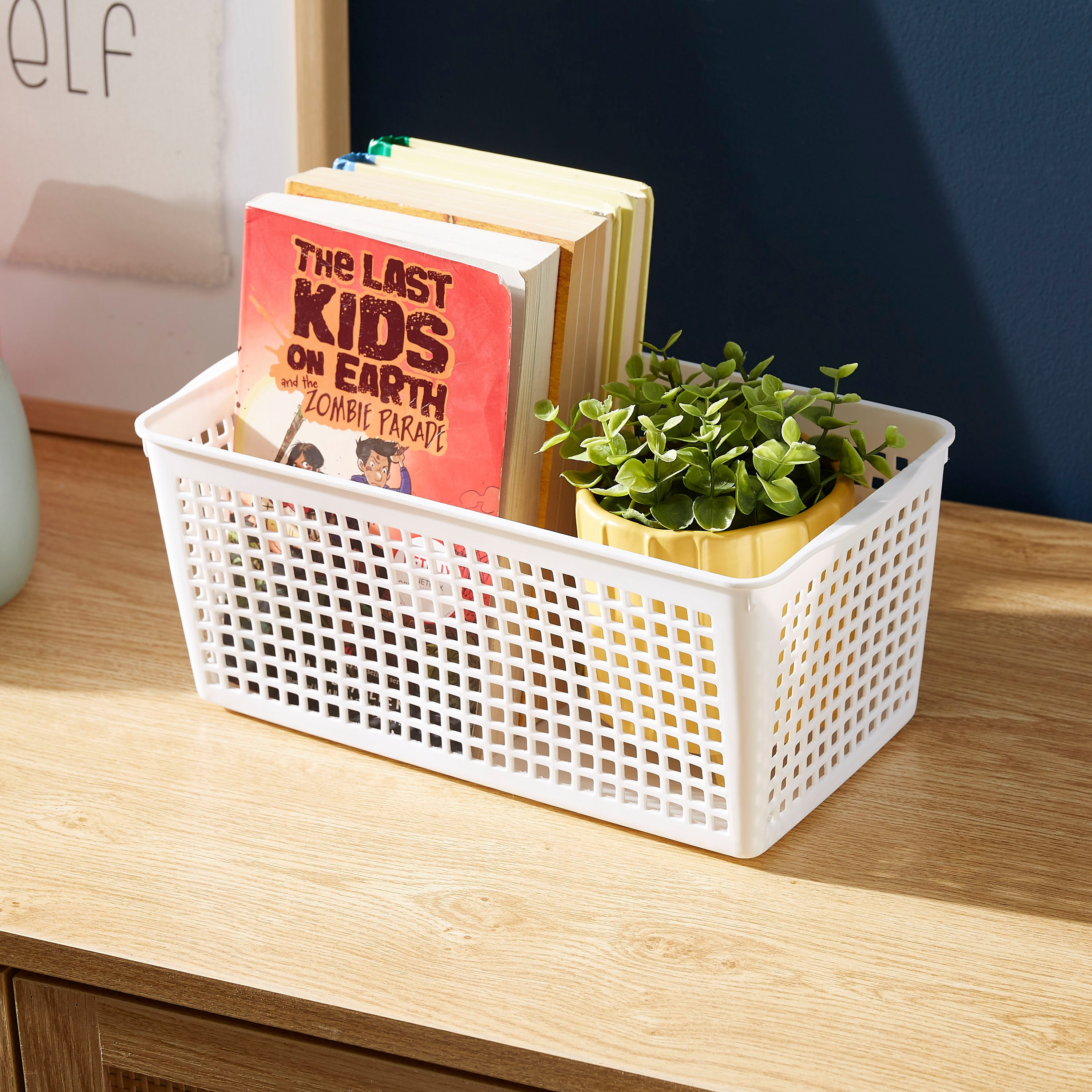 Spectra Glory Multipurpose Basket - 20 cm-hbxbedroom-bedroomaccessories-bedroomstorage-image-2