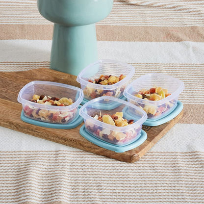 Spectra 4-Piece Container Set