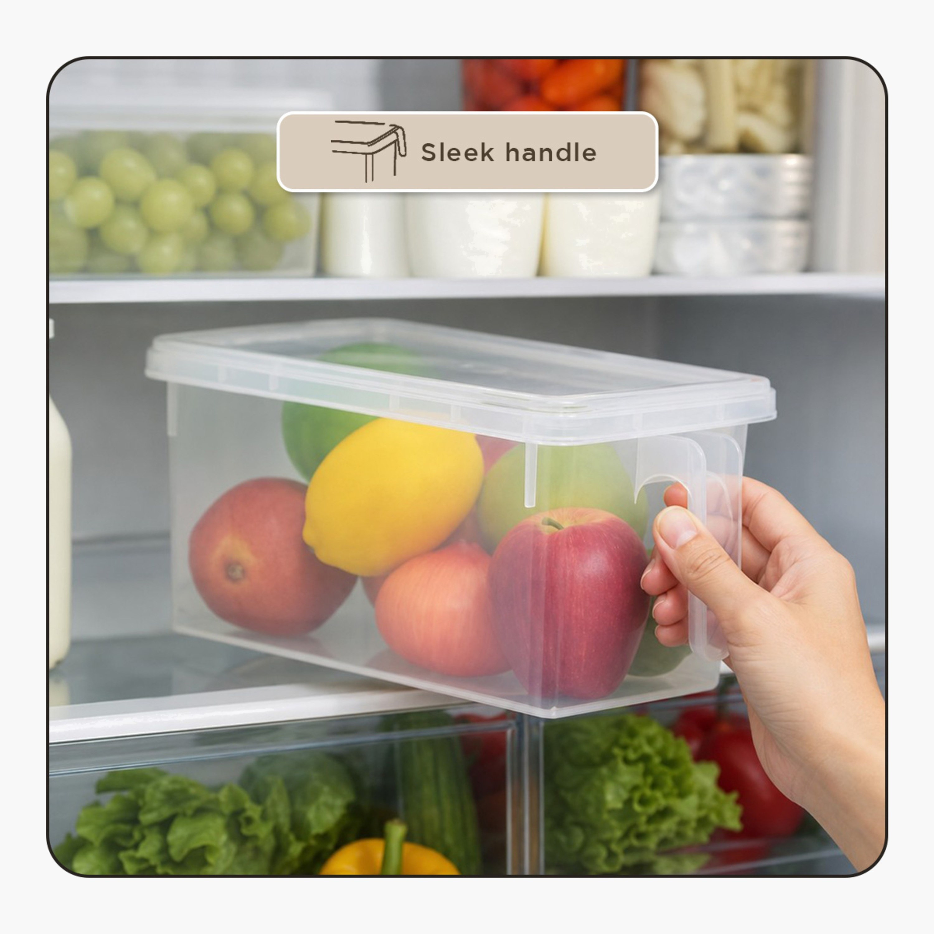 Vega Storage Organiser with Handle - 29.5x15.5x14 cm-hbxhomeware-hbxkitchen-image-16