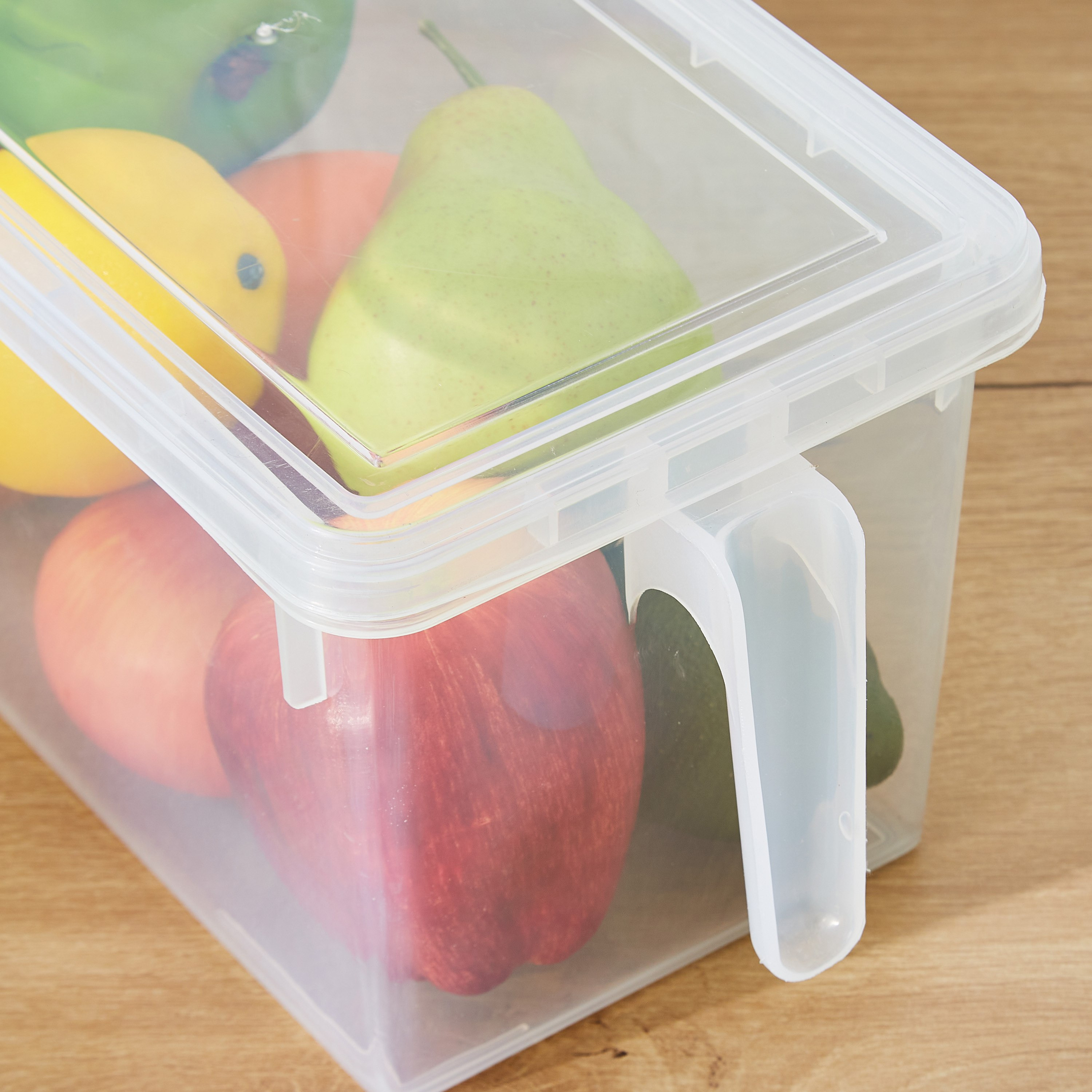 Vega Storage Organiser with Handle - 29.5x15.5x14 cm-hbxhomeware-hbxkitchen-image-12