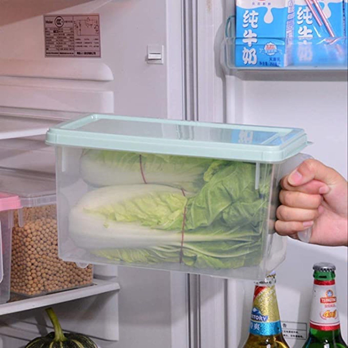 Vega Storage Organiser with Handle - 29.5x15.5x14 cm-hbxhomeware-hbxkitchen-image-4