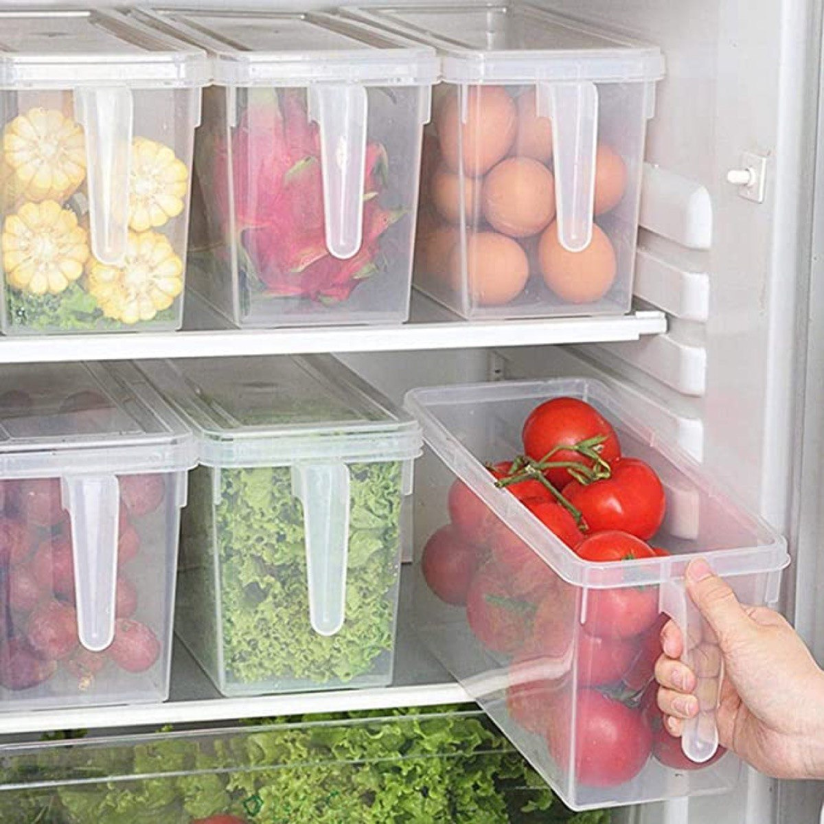 Vega Storage Organiser with Handle - 29.5x15.5x14 cm-hbxhomeware-hbxkitchen-image-5