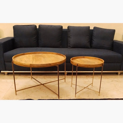 Caspian Brass and Solid Wood Coffee Table - Set of 2