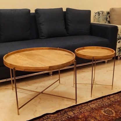 Caspian Brass and Solid Wood Coffee Table - Set of 2