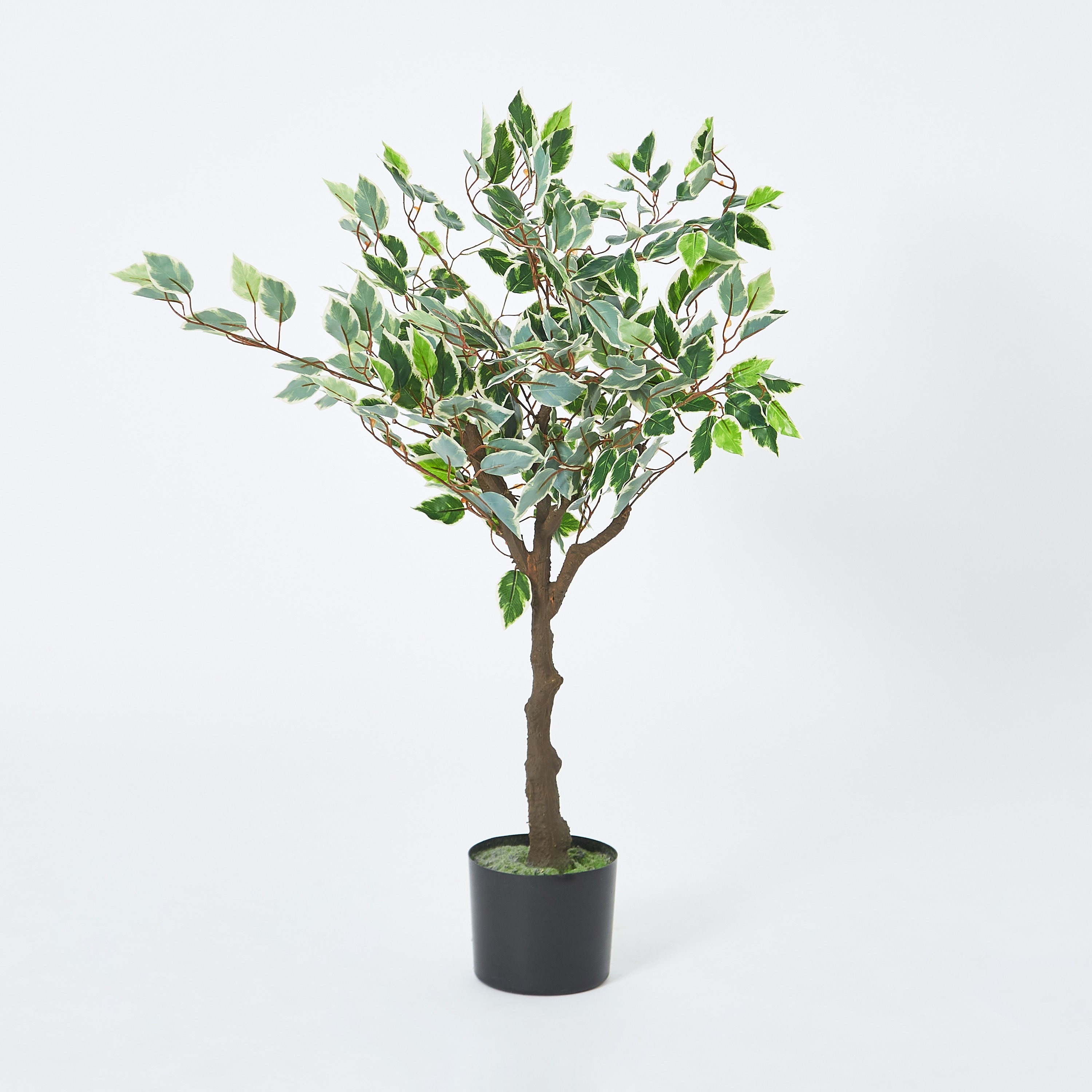 شجرة تين صناعيّة من تيودورا - 115 سم-hbxdecorandfurnishings-homeaccessories-artificialflowersandplants-image-5