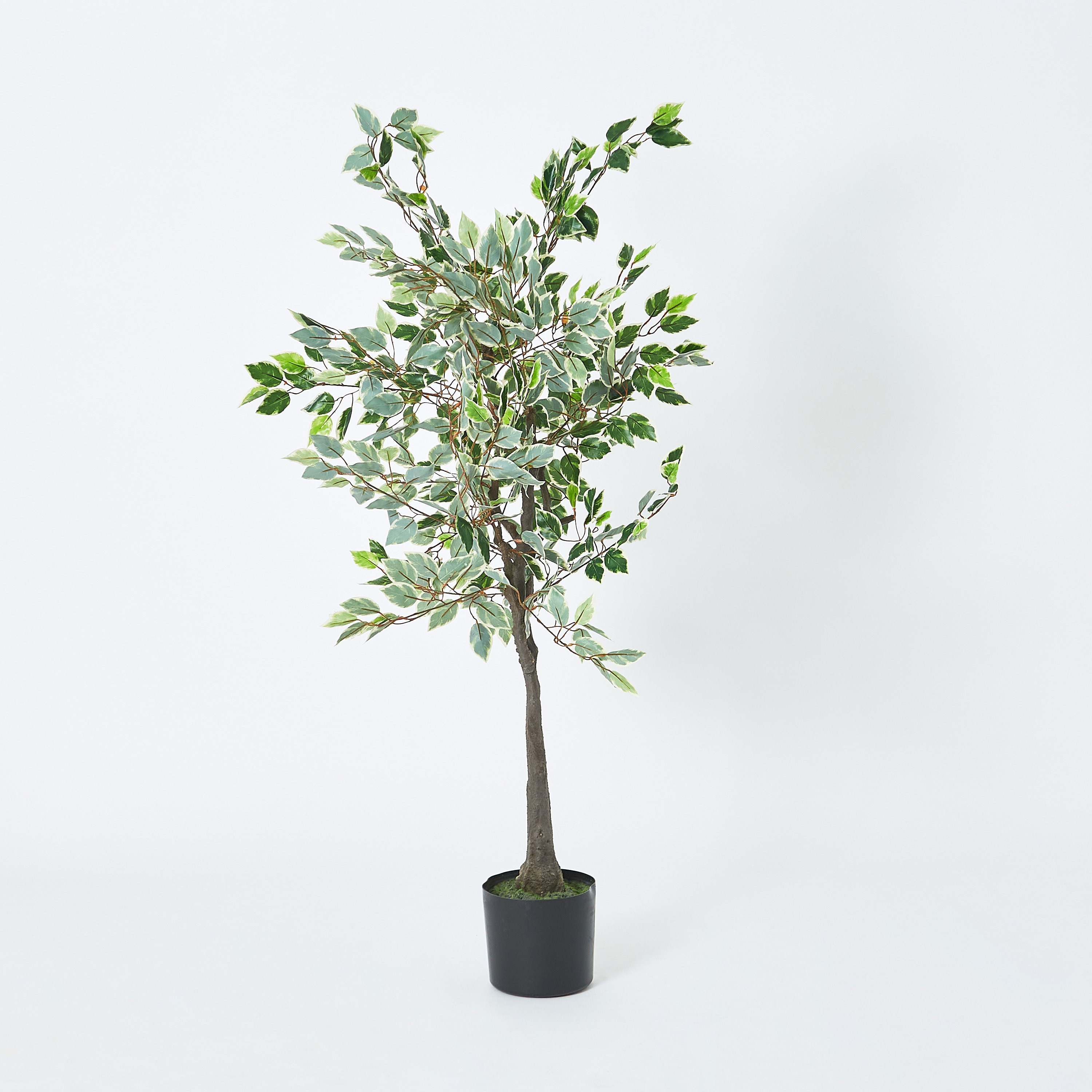 شجرة تين صناعيّة من تيودورا - 150 سم-hbxdecorandfurnishings-homeaccessories-artificialflowersandplants-image-5
