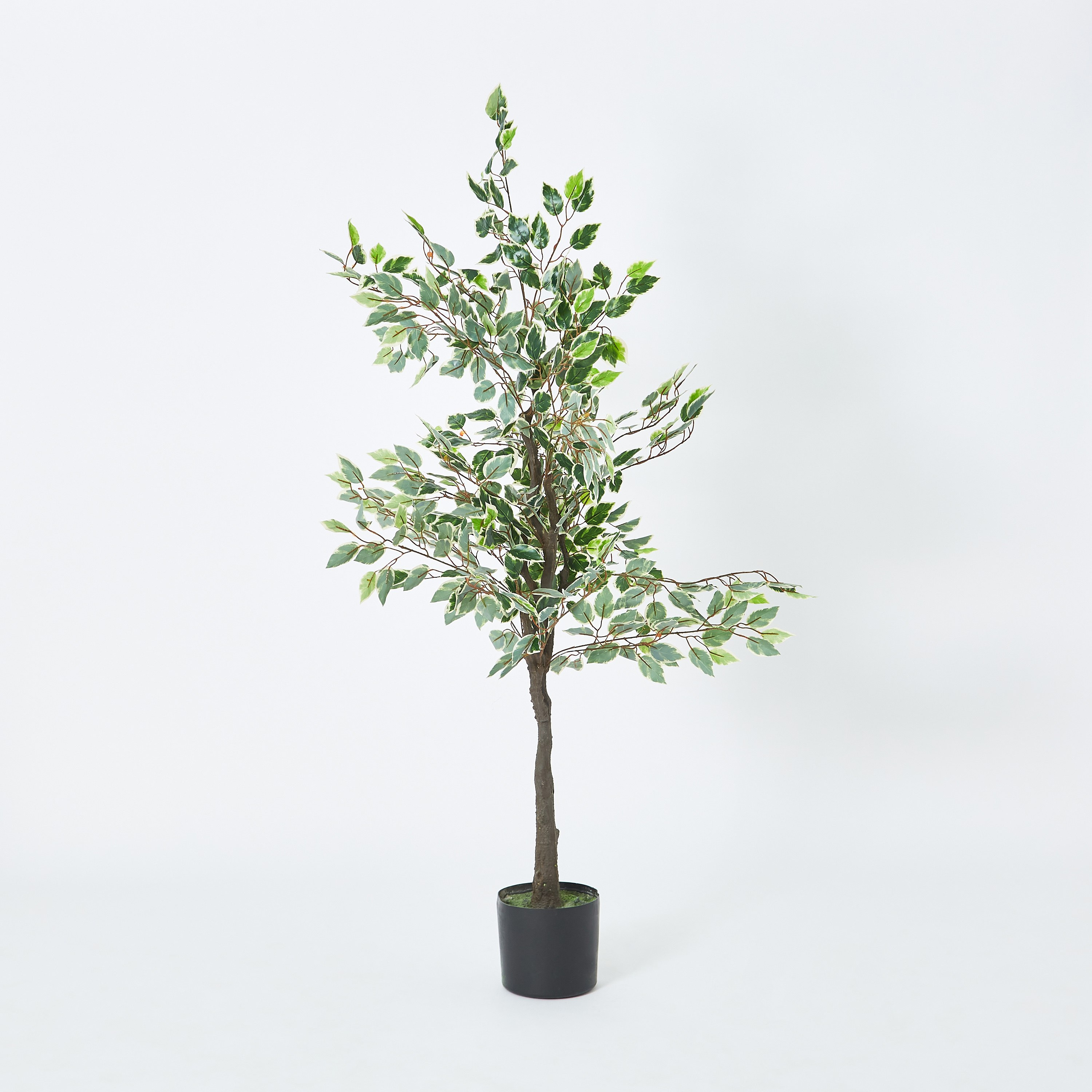شجرة تين صناعيّة من تيودورا - 160 سم-hbxdecorandfurnishings-homeaccessories-artificialflowersandplants-image-5