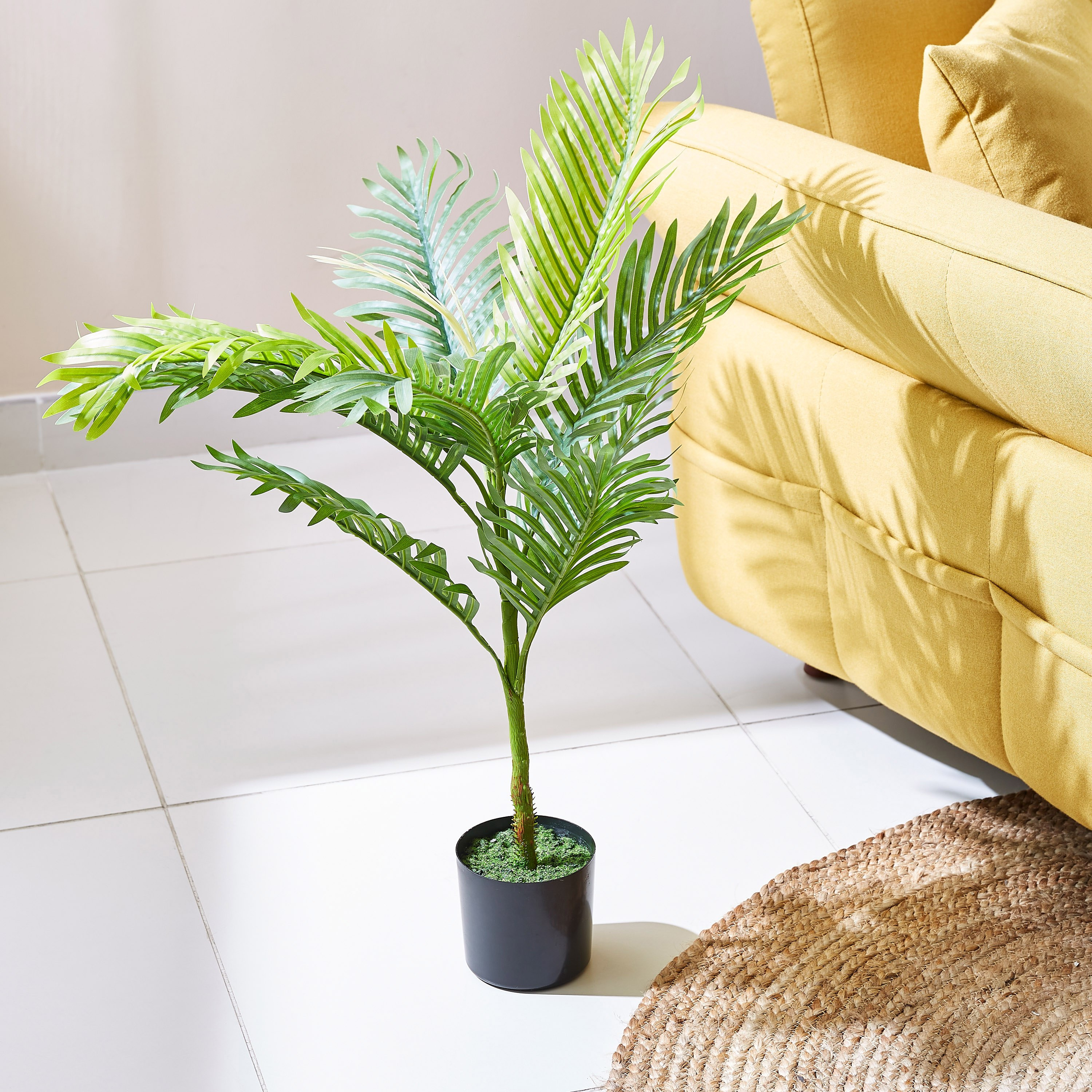 Teodora Artificial Palm Tree - 80 cm-hbxdecorandfurnishings-homeaccessories-artificialflowersandplants-image-1