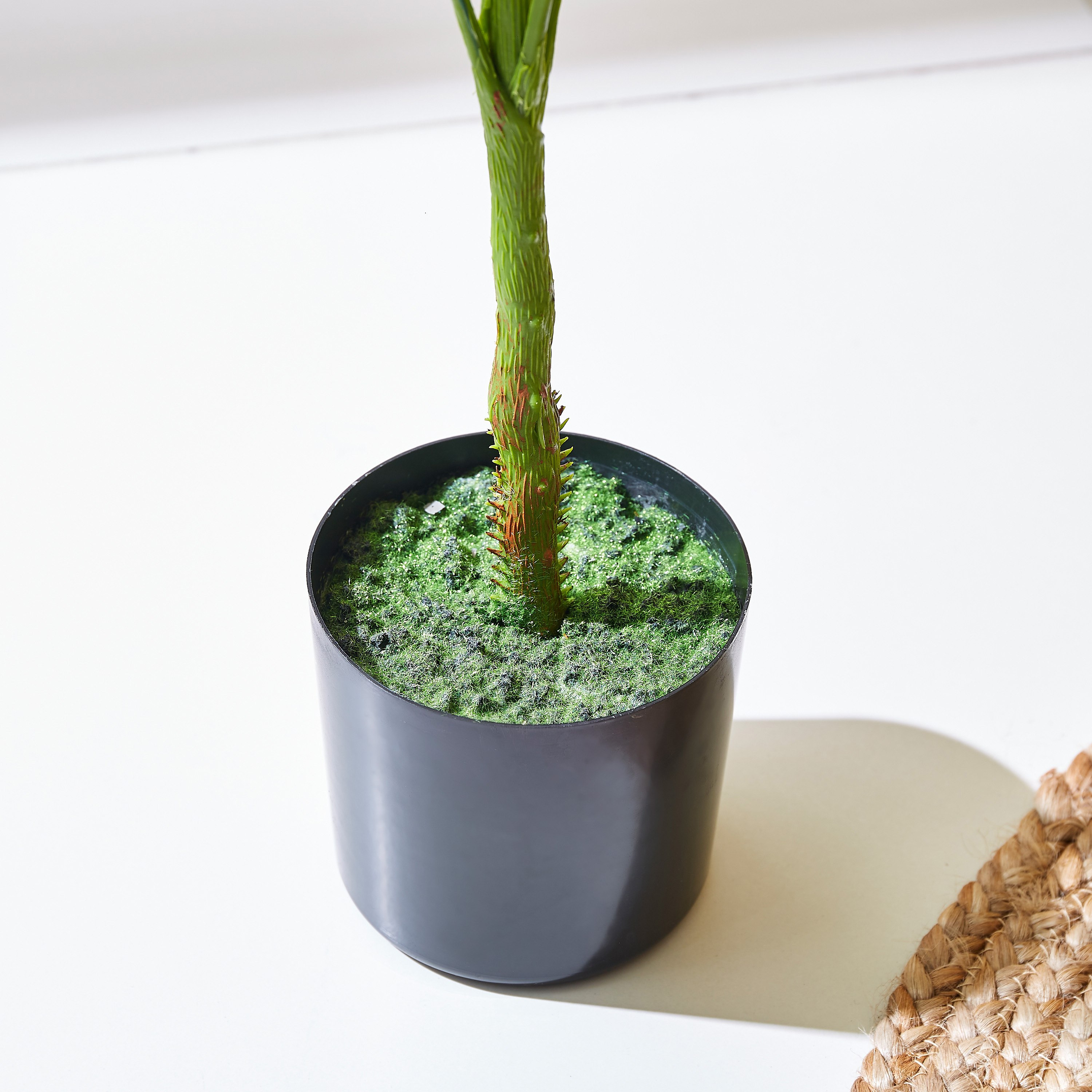 Teodora Artificial Palm Tree - 80 cm-hbxdecorandfurnishings-homeaccessories-artificialflowersandplants-image-3