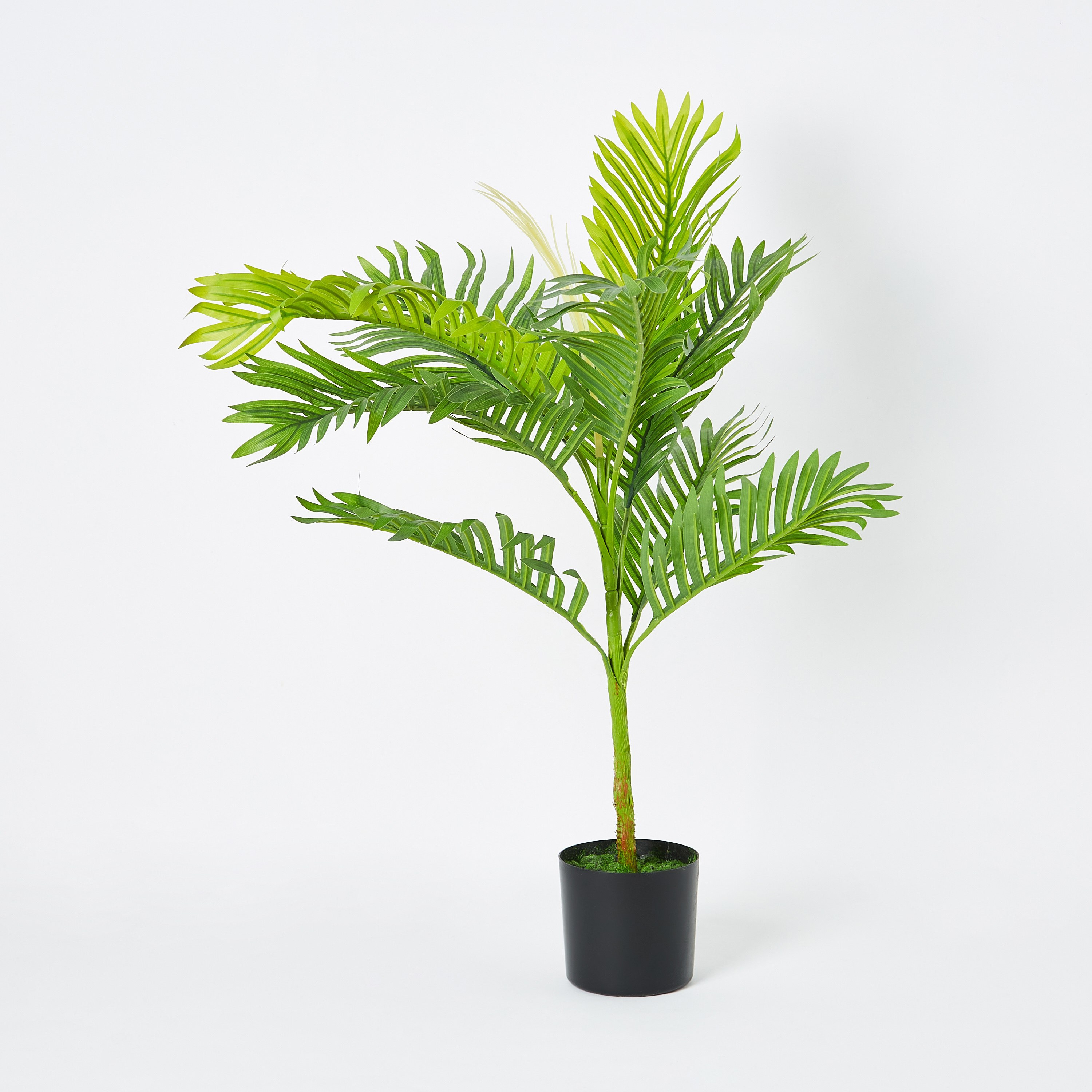 Teodora Artificial Palm Tree - 80 cm-hbxdecorandfurnishings-homeaccessories-artificialflowersandplants-image-5