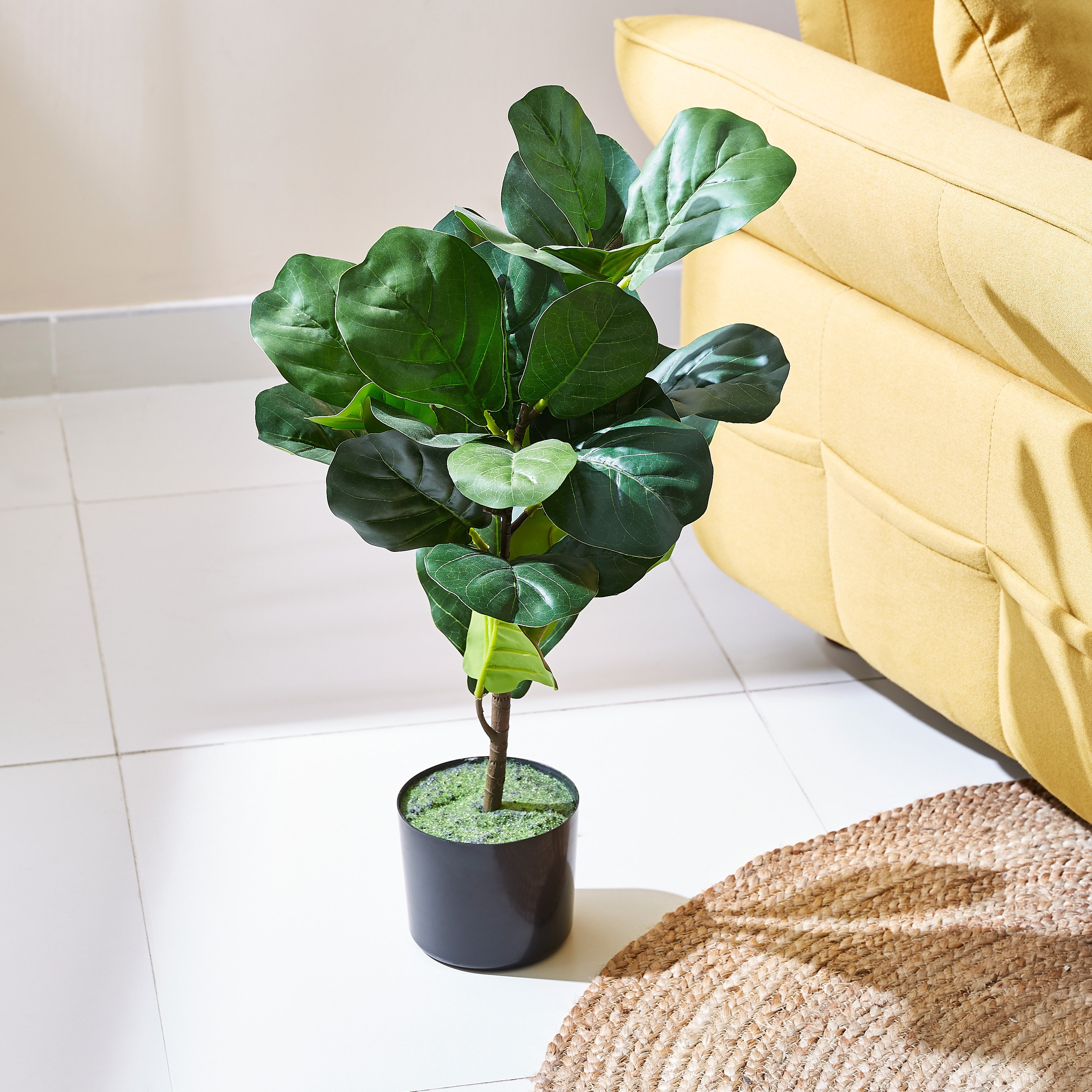شجرة ورق التين صناعية من تيودورا - 75 سم-hbxdecorandfurnishings-homeaccessories-artificialflowersandplants-image-1