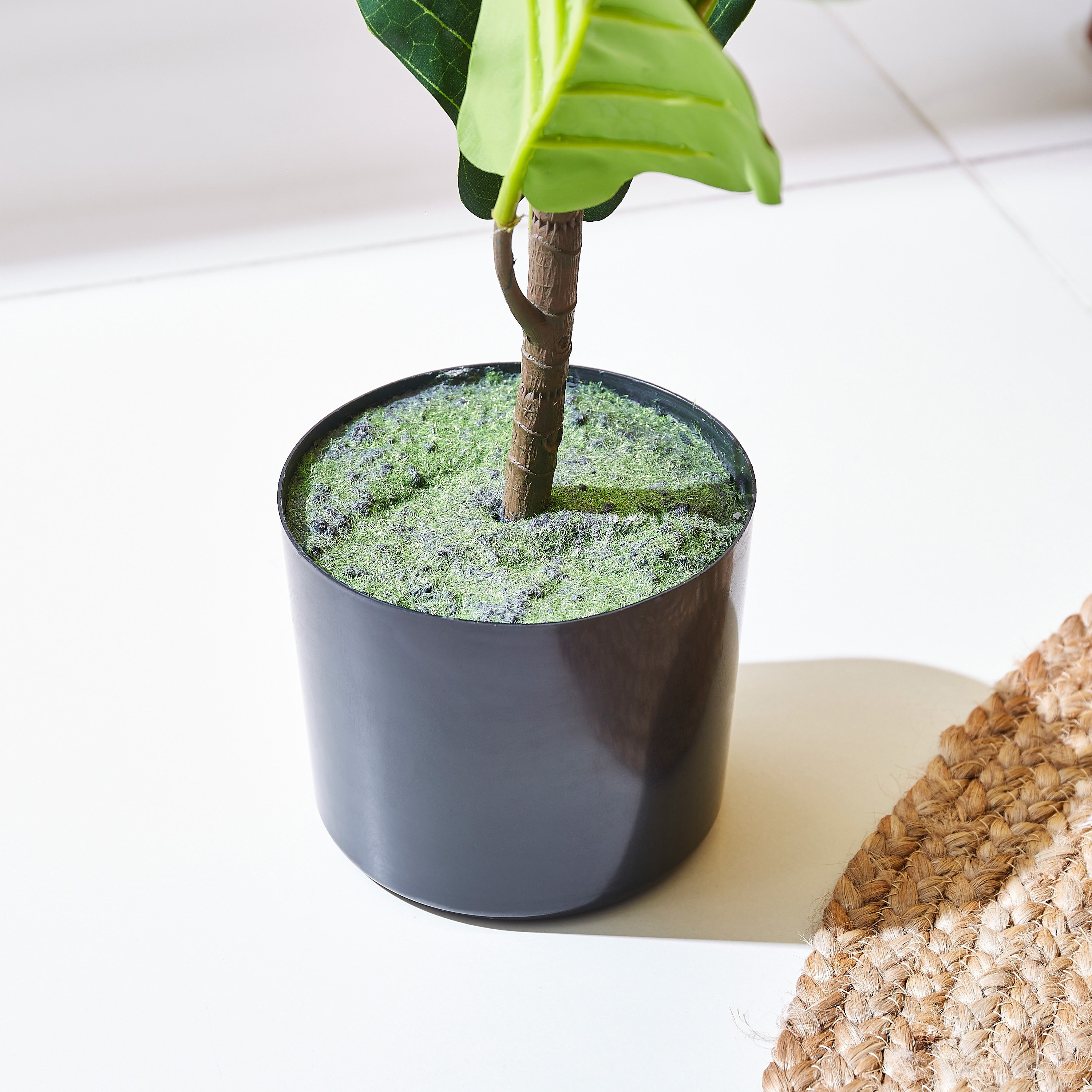شجرة ورق التين صناعية من تيودورا - 75 سم-hbxdecorandfurnishings-homeaccessories-artificialflowersandplants-image-3