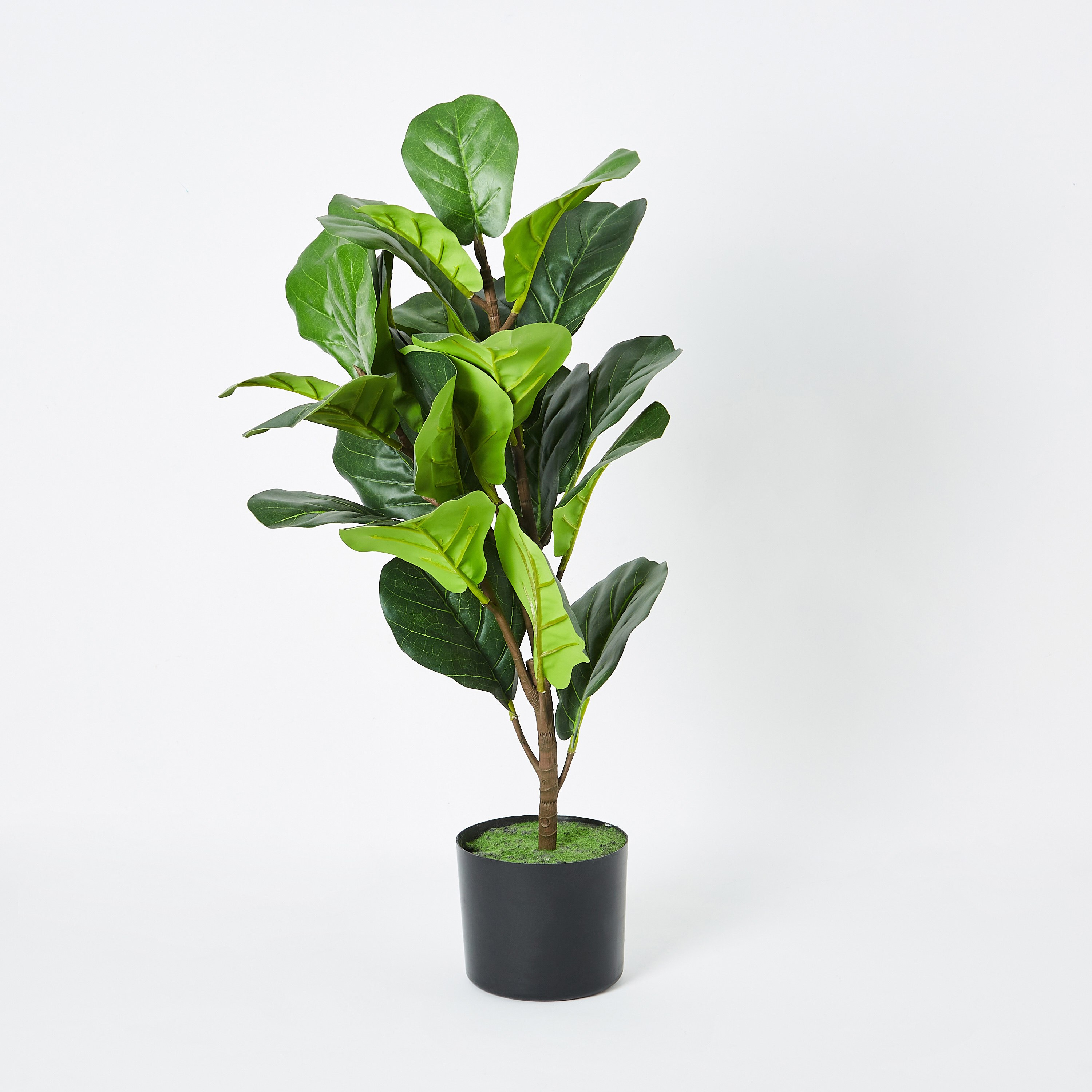 شجرة ورق التين صناعية من تيودورا - 75 سم-hbxdecorandfurnishings-homeaccessories-artificialflowersandplants-image-5
