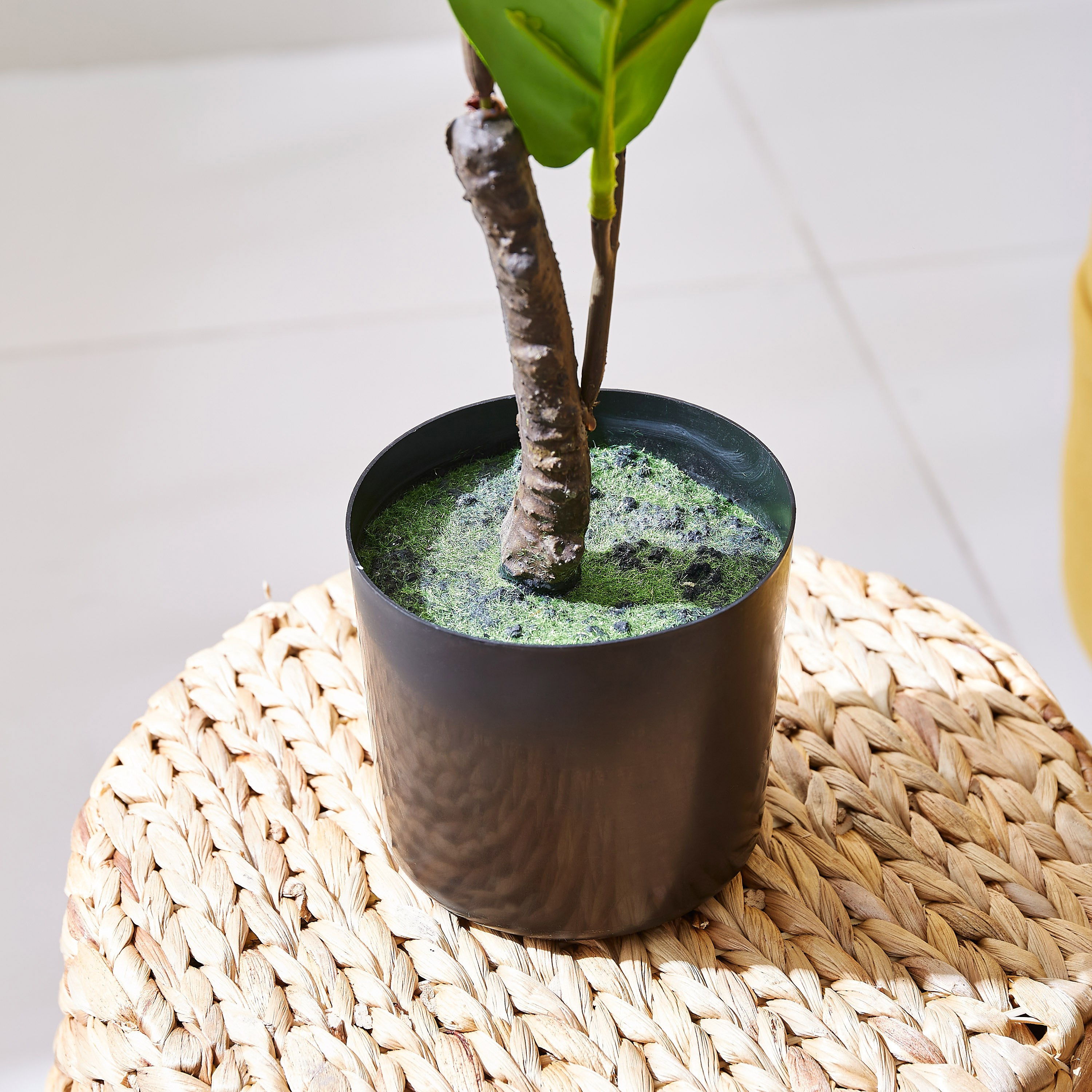 Teodora Artificial Fiddle Leaf Tree - 70 cm-hbxdecorandfurnishings-homeaccessories-artificialflowersandplants-image-3