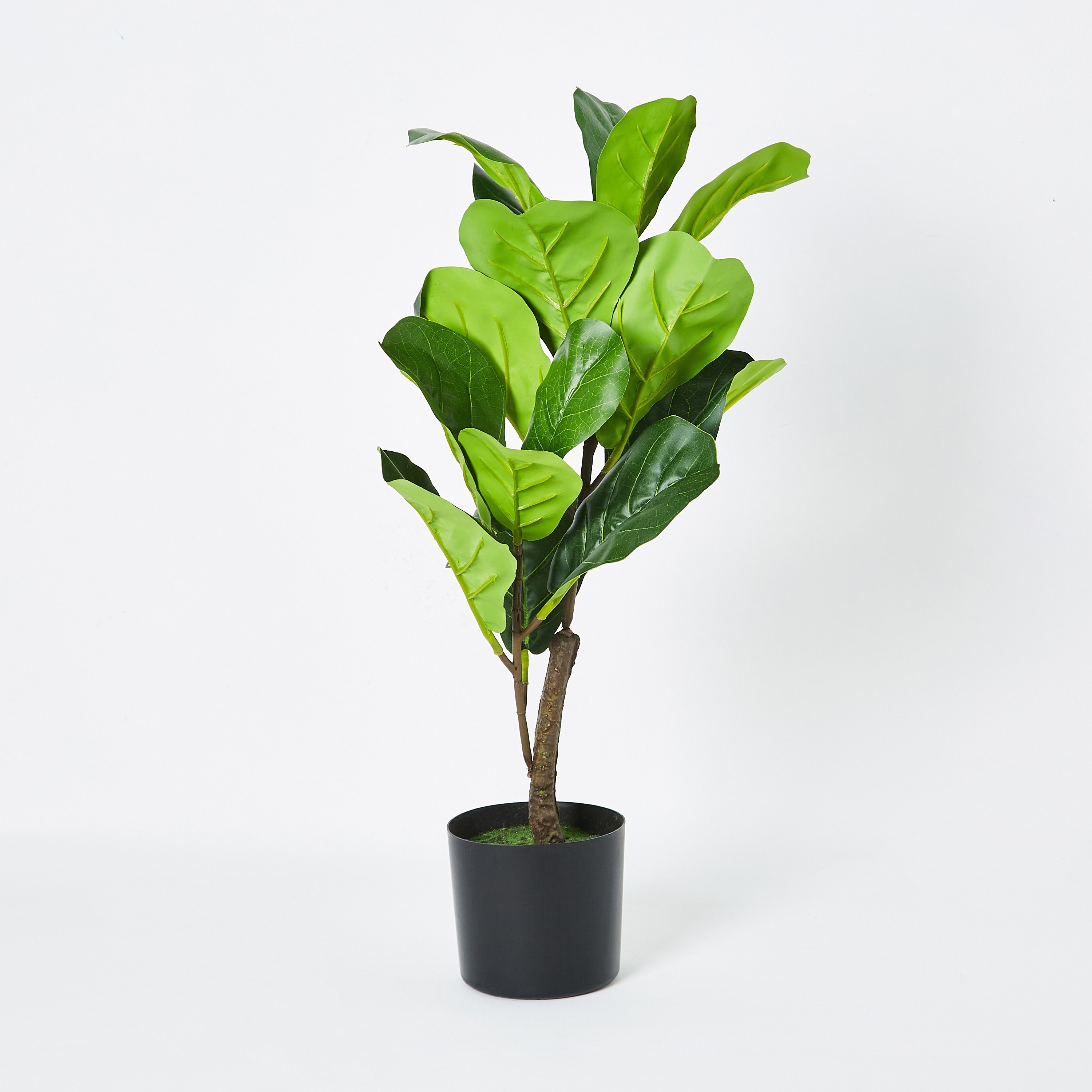 Teodora Artificial Fiddle Leaf Tree - 70 cm-hbxdecorandfurnishings-homeaccessories-artificialflowersandplants-image-5
