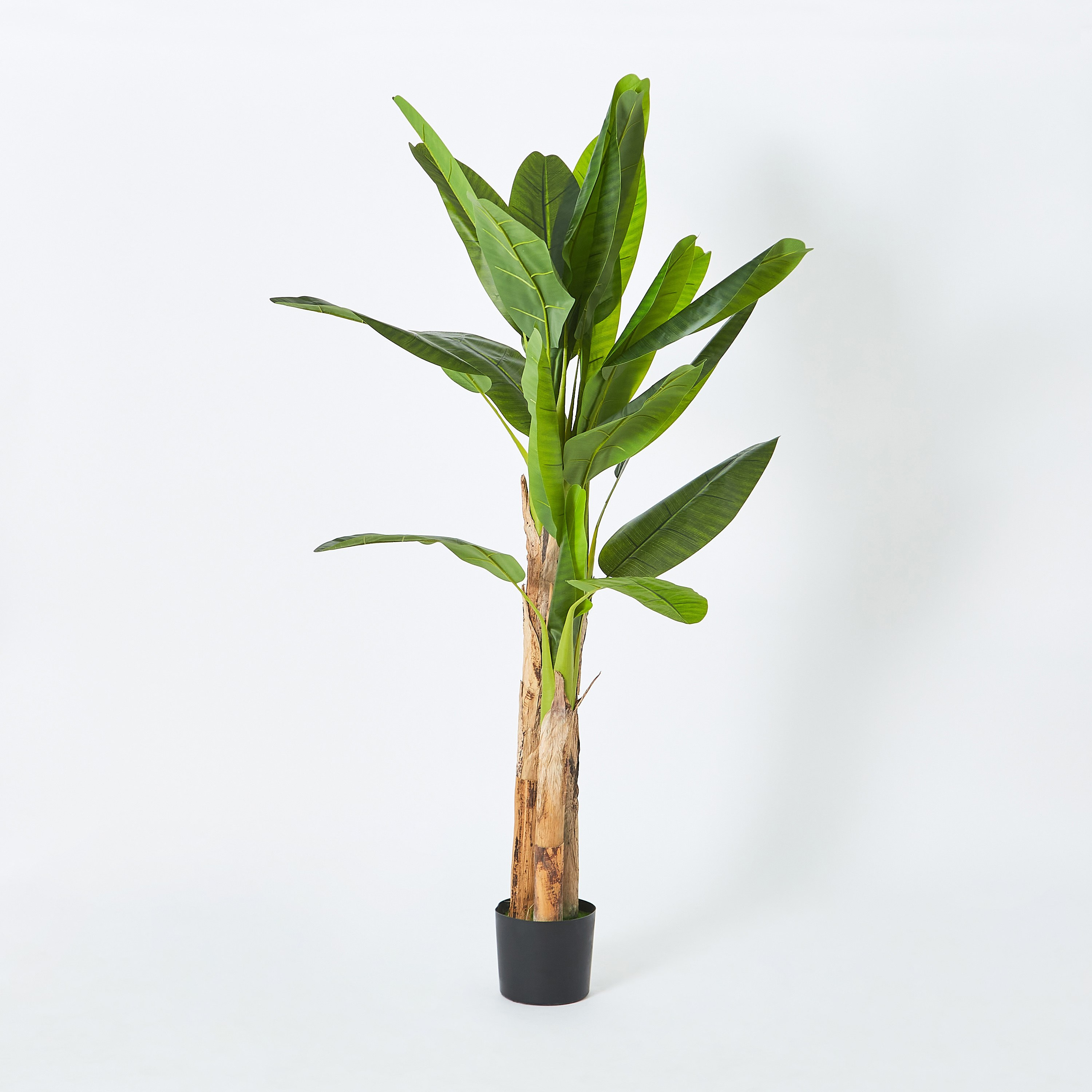شجرة بانانا بـ3 جذوع من تيودورا - 180 سم-hbxdecorandfurnishings-homeaccessories-artificialflowersandplants-image-5