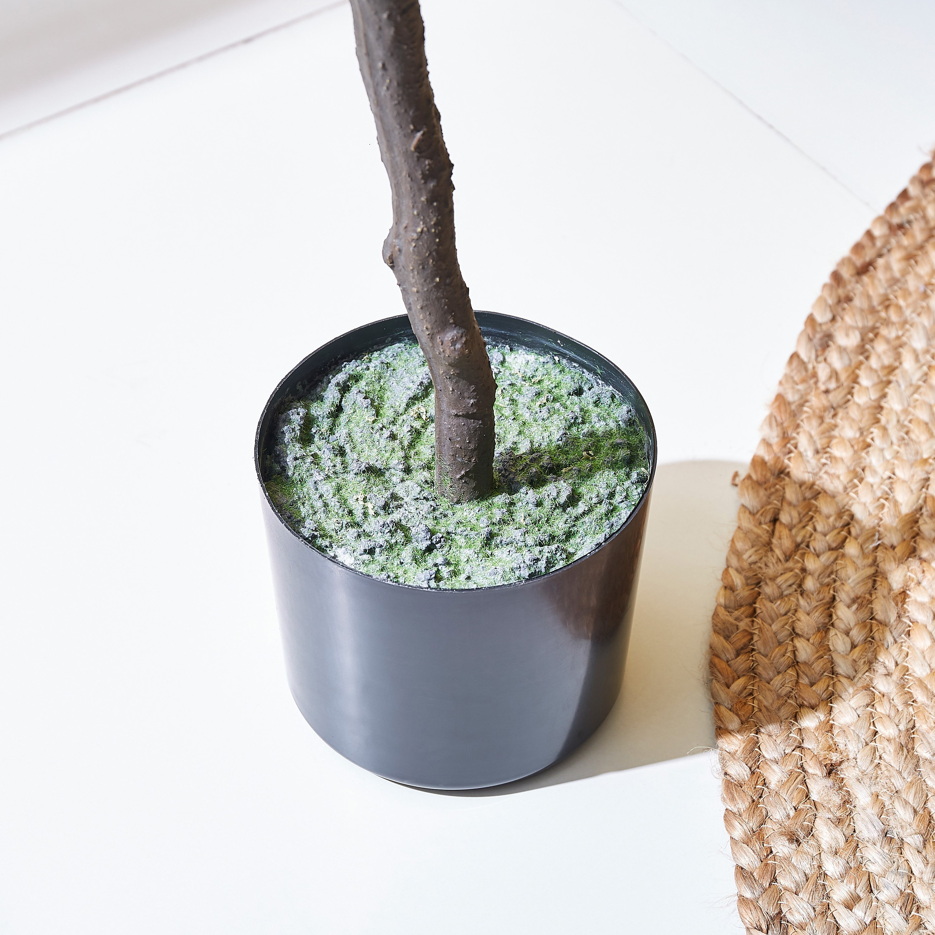 شجرة الكمكوات من تيودورا - 100 سم-hbxdecorandfurnishings-homeaccessories-artificialflowersandplants-image-3