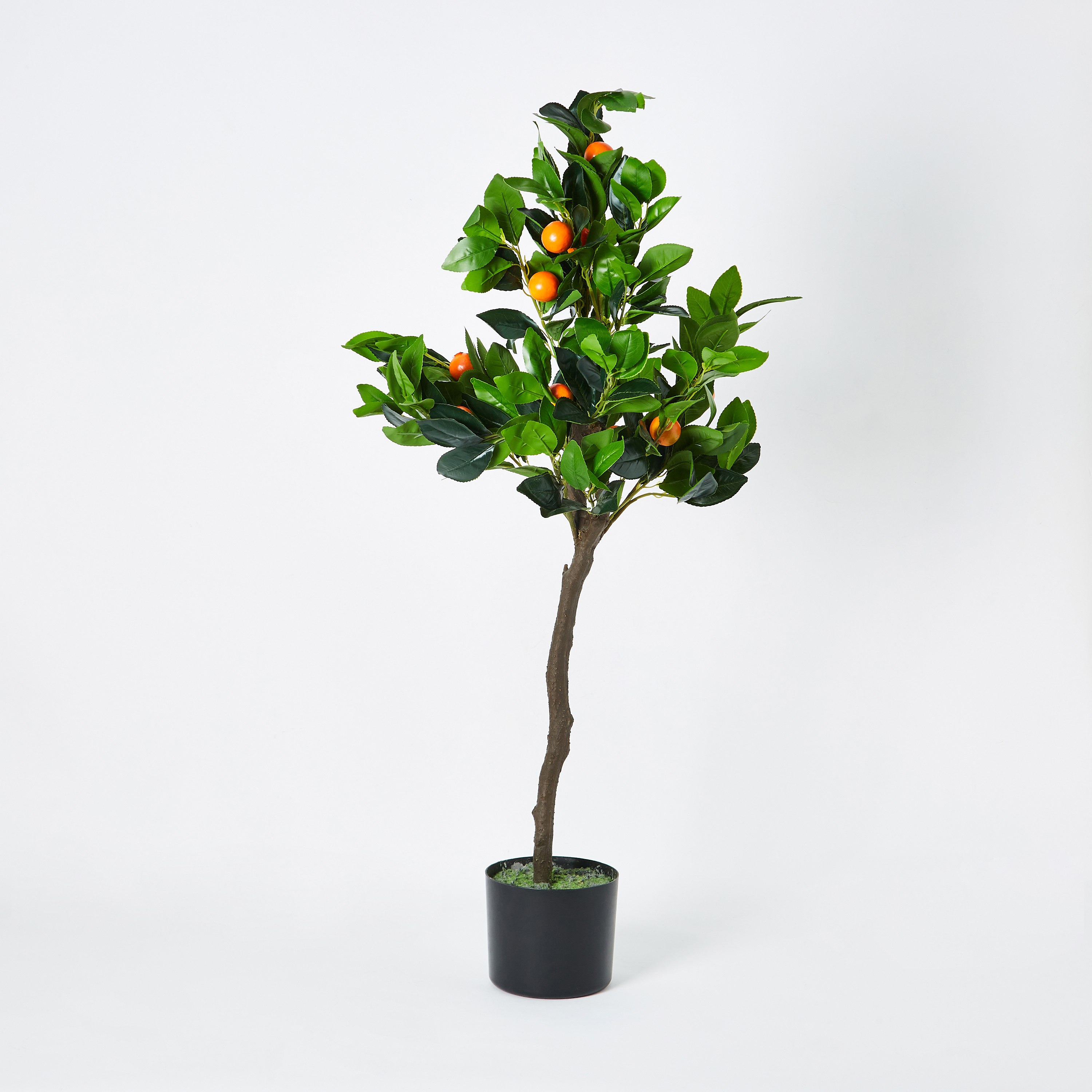 شجرة الكمكوات من تيودورا - 100 سم-hbxdecorandfurnishings-homeaccessories-artificialflowersandplants-image-5