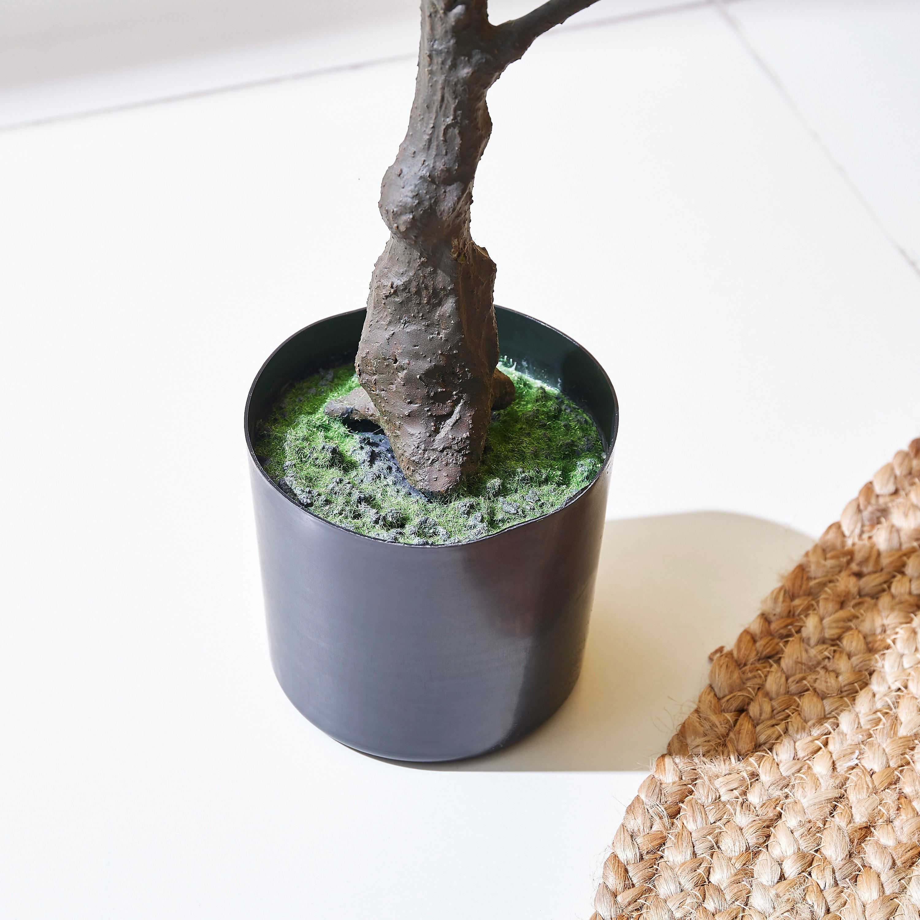 شجرة الكمكوات من تيودورا - 80 سم-hbxdecorandfurnishings-homeaccessories-artificialflowersandplants-image-3
