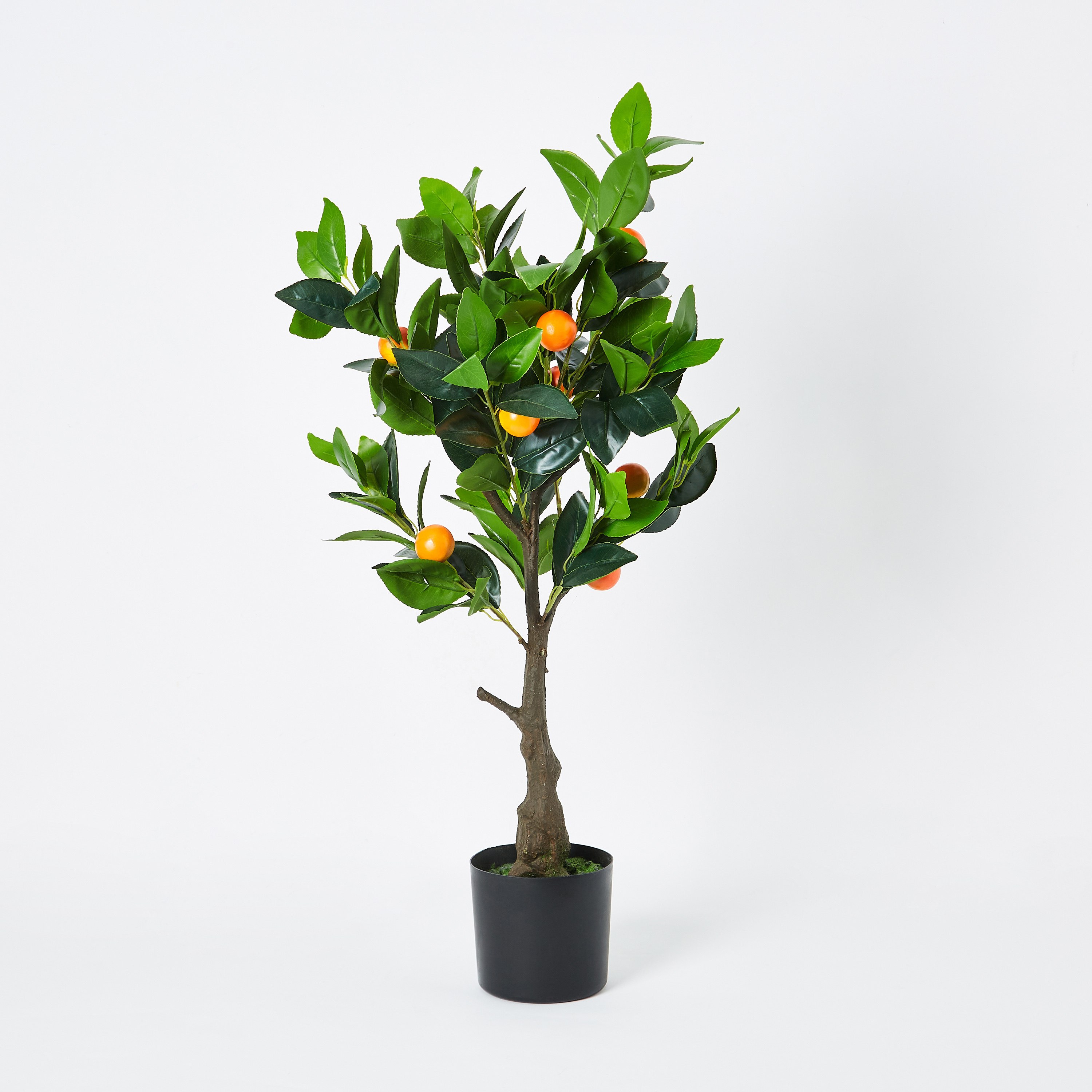 شجرة الكمكوات من تيودورا - 80 سم-hbxdecorandfurnishings-homeaccessories-artificialflowersandplants-image-5