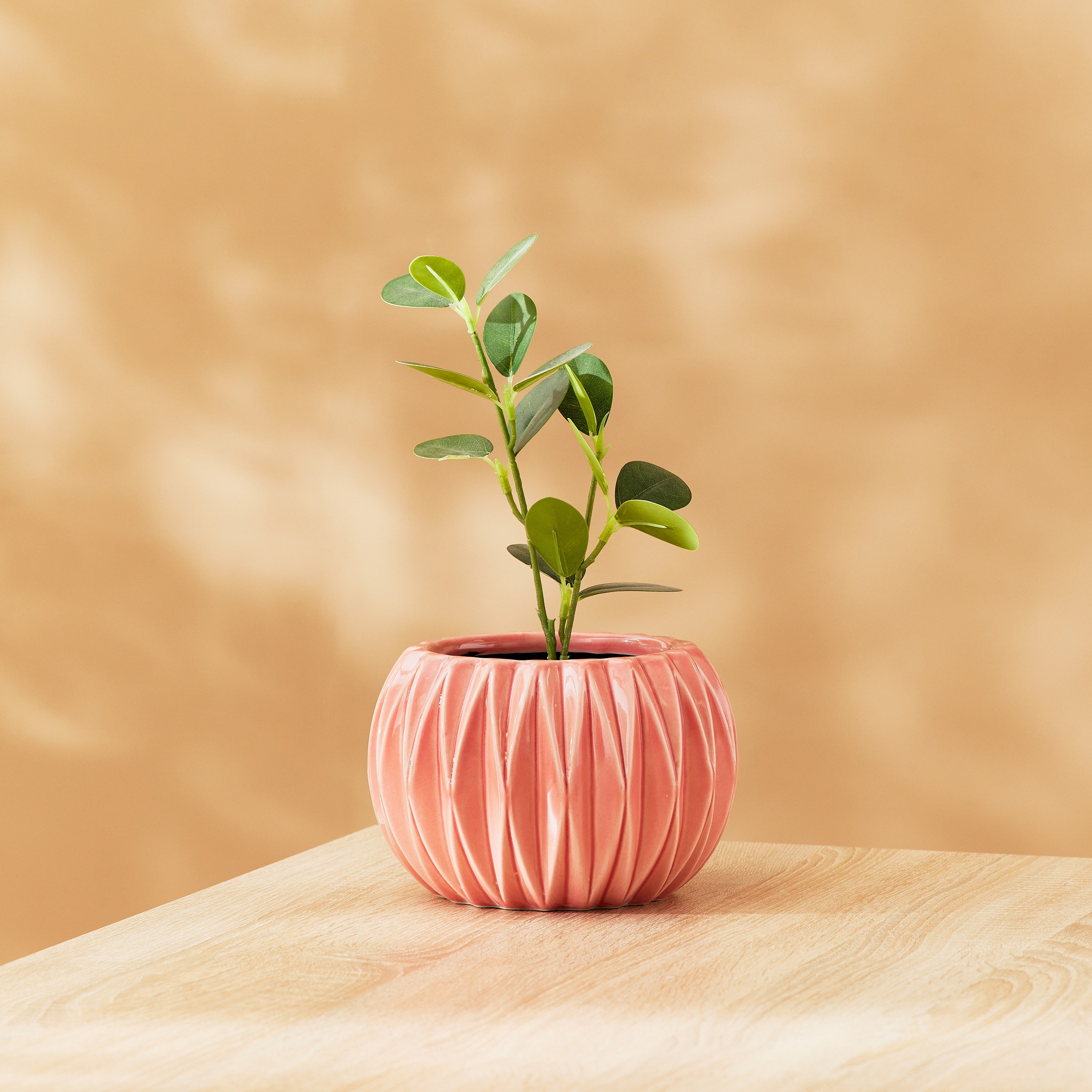 أصيص زرع سيراميك مستدير من كيارا - 19x19x14 سم-PROMO_HB_AE_B1G1_250925-image-1