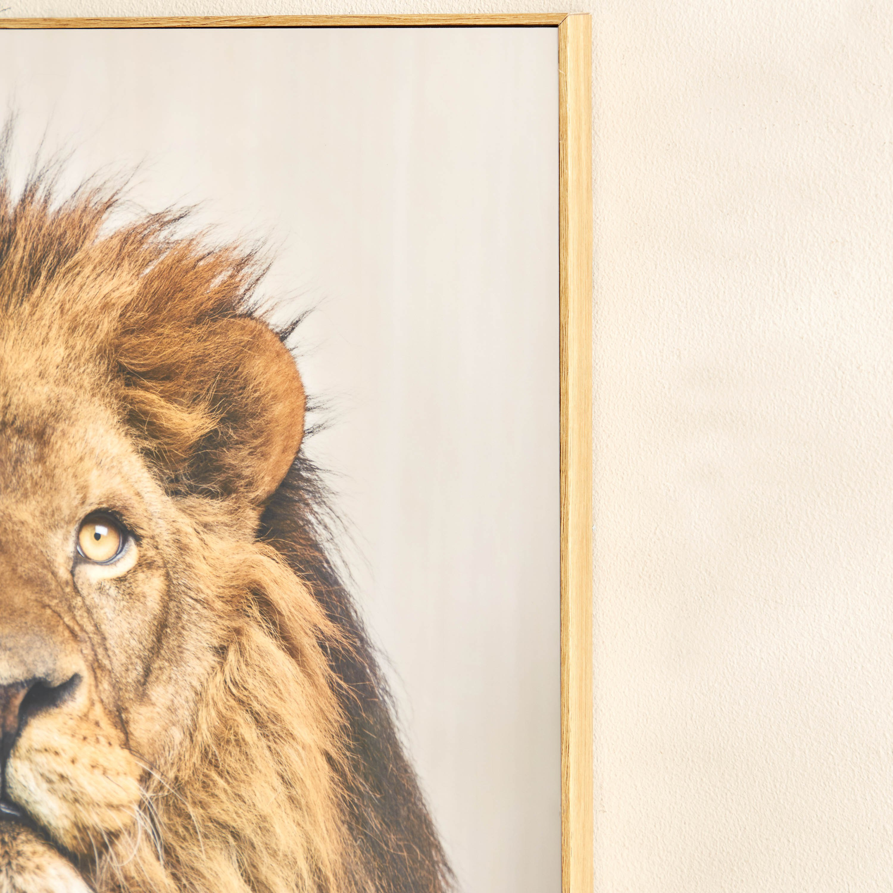 لوحة مؤطّرة لامعة بتصميم أسد من ألواح ليفية متوسط الكثافة من بيترا - 50x3x70 سم-PROMO_HB_AE_B1G1_250925-image-3