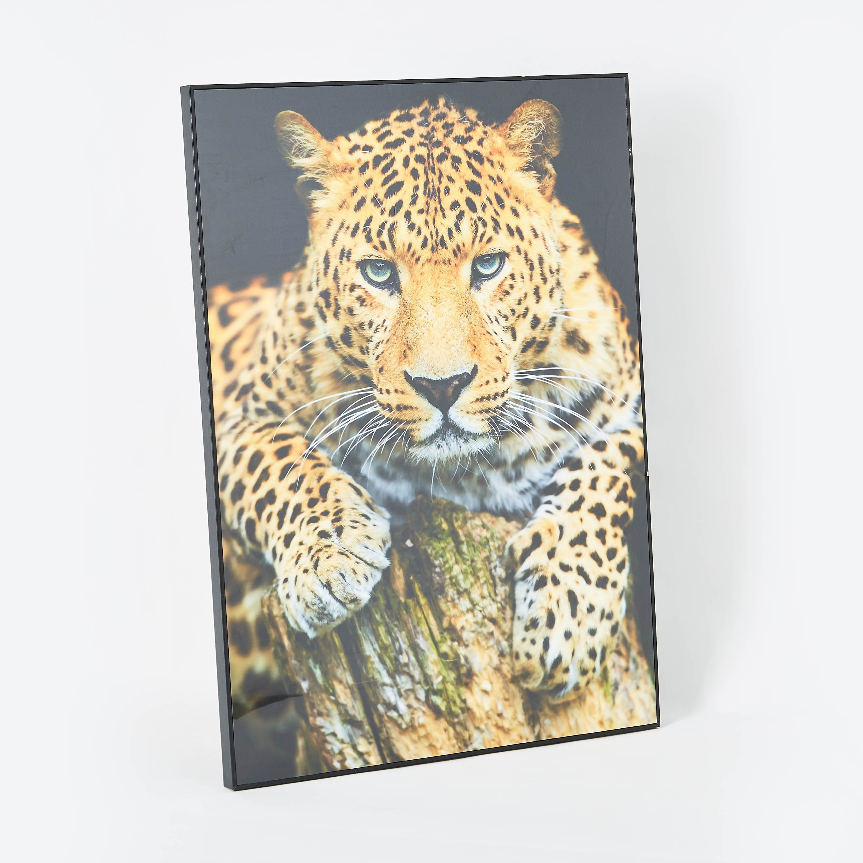 Petra Cheetah On Tree Glossy MDF Framed Picture - 50x3x70 cm-hbxhomeware-hbxdecorandfurnishings-image-5