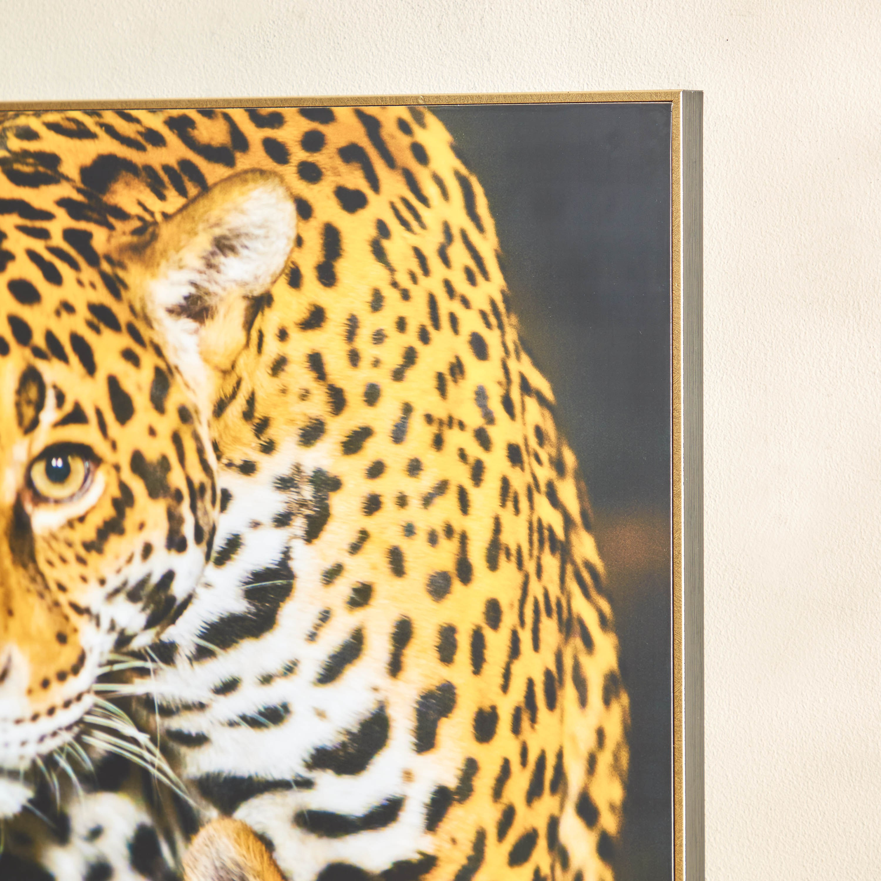 لوحة مؤطّرة لامعة بألواح ليفية متوسطة الكثافة من بيترا - 50x3x70 سم-hbxhomeware-hbxdecorandfurnishings-image-3