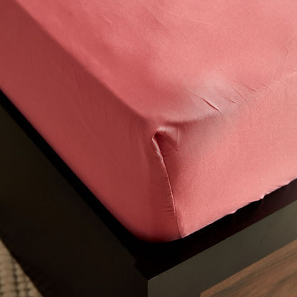 Derby King Solid Microfibre Fitted Sheet - 180x200+25 cms