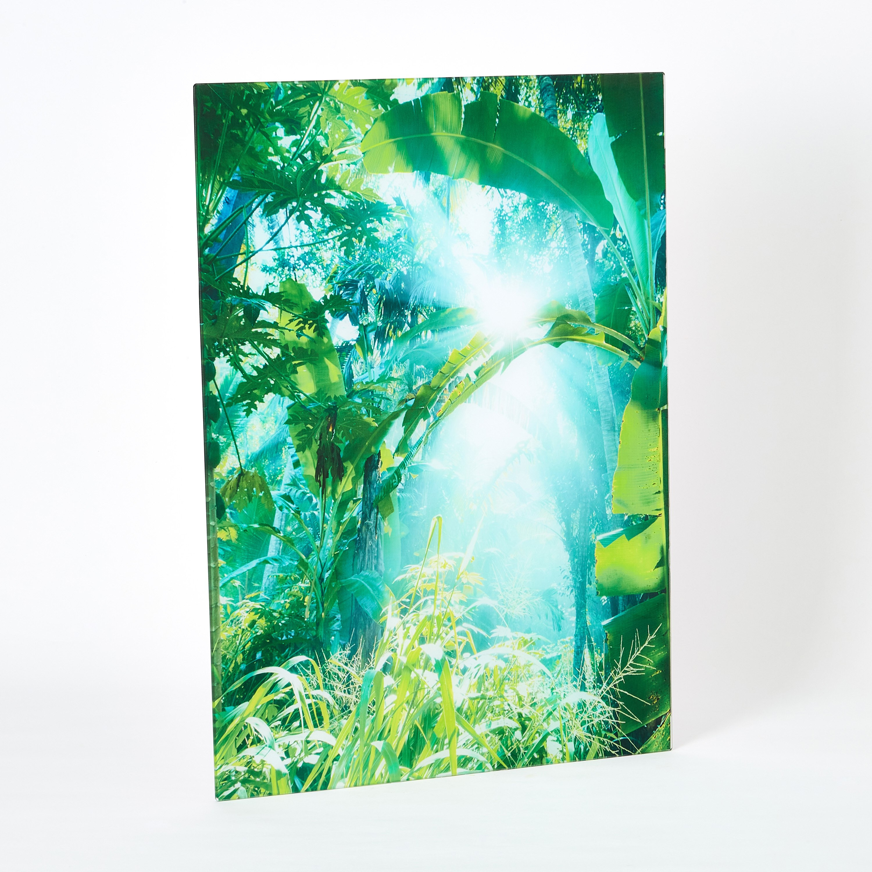 Claude Trees Tempered Glass Wall Art - 50x1x70 cm-PROMO_HB_AE_B1G1_250925-image-5