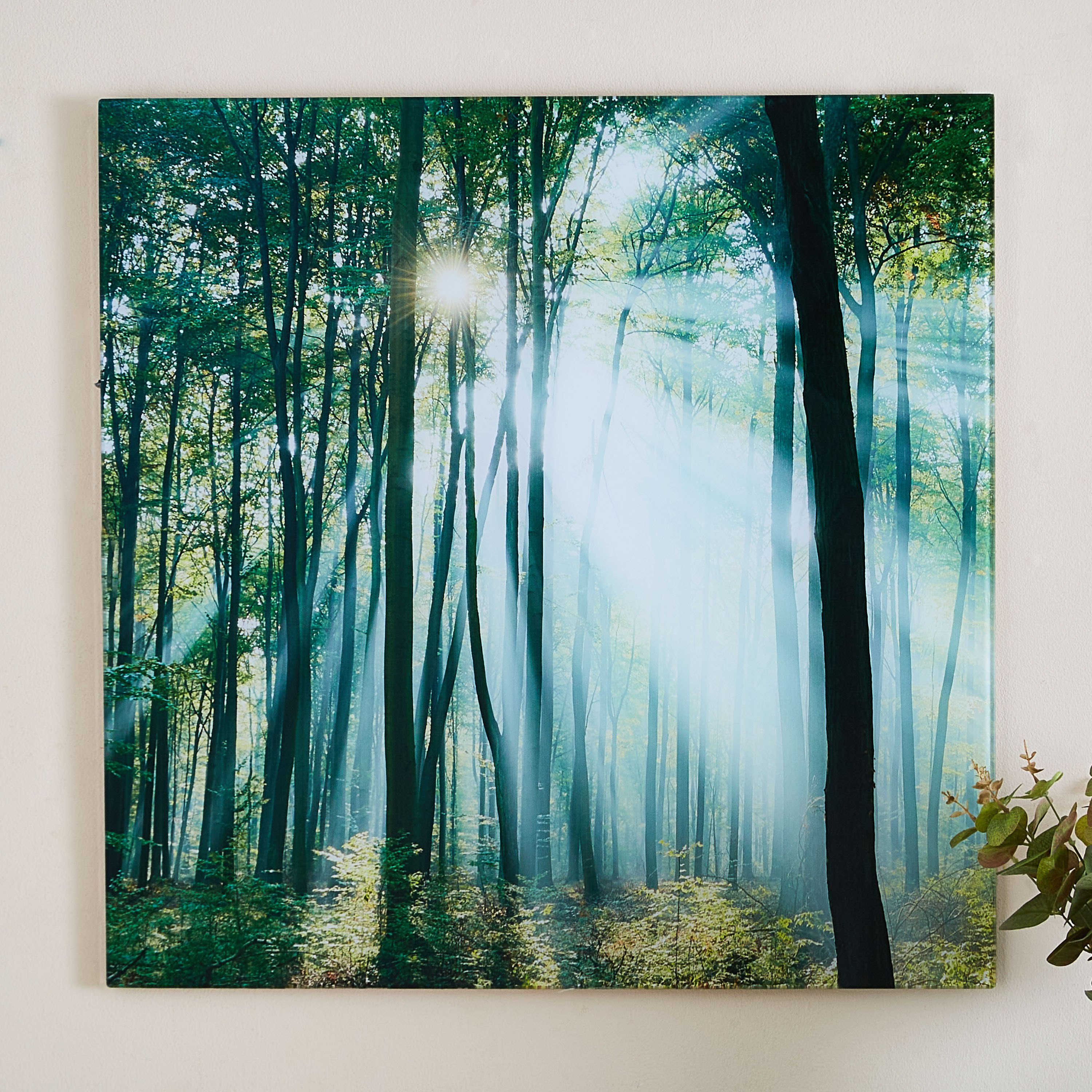 لوحة جدارية من الزجاج المعالج حرارياً لتصميم غابة خضراء من كلود - 60x1x60 سم-PROMO_HB_AE_B1G1_250925-image-1