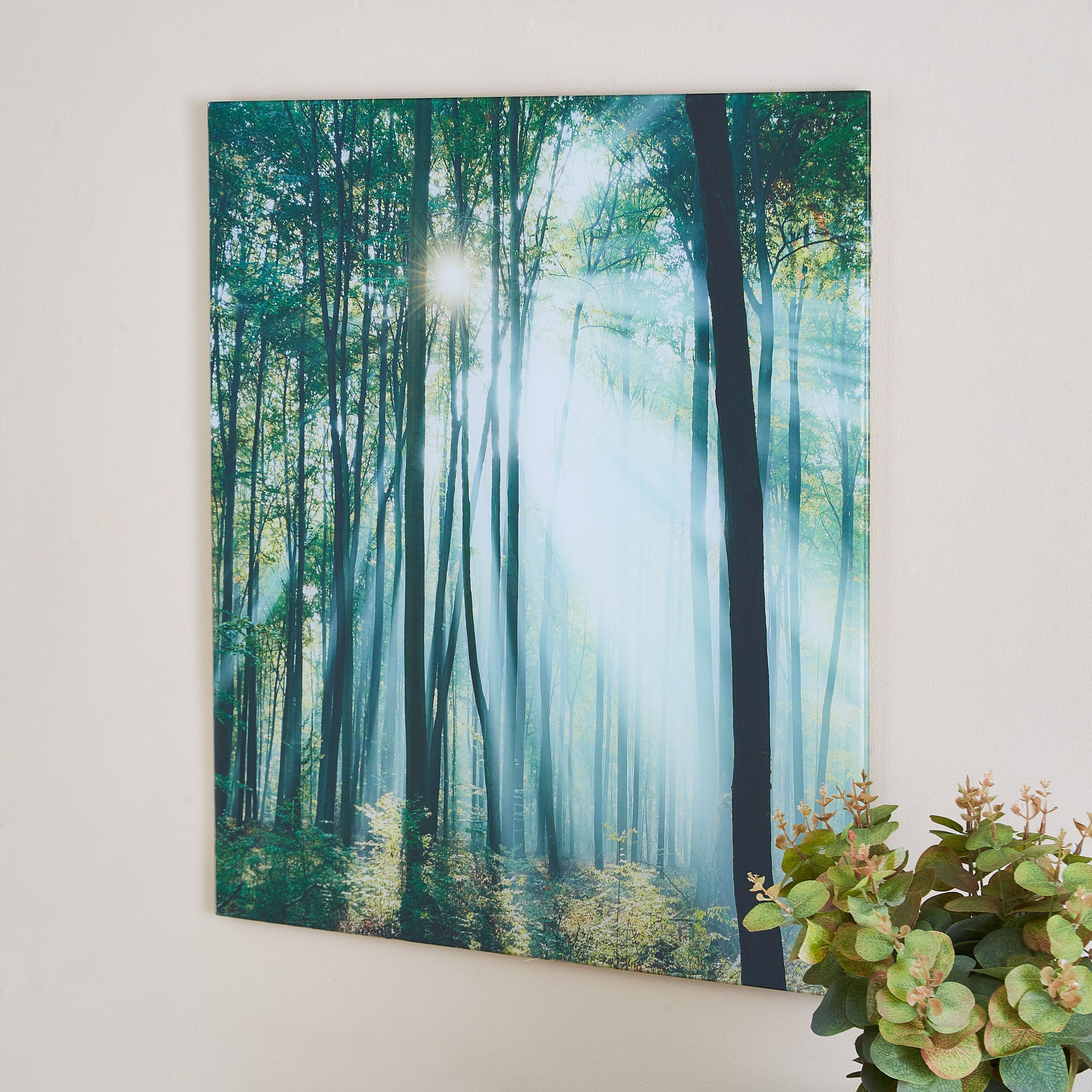 لوحة جدارية من الزجاج المعالج حرارياً لتصميم غابة خضراء من كلود - 60x1x60 سم-PROMO_HB_AE_B1G1_250925-image-2