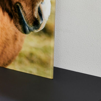 Claude Horse Face Tempered Glass Wall Art - 40x1x60 cms