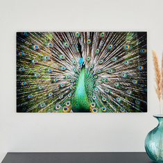 Claude Peacock Tempered Glass Wall Art - 60x1x40 cms