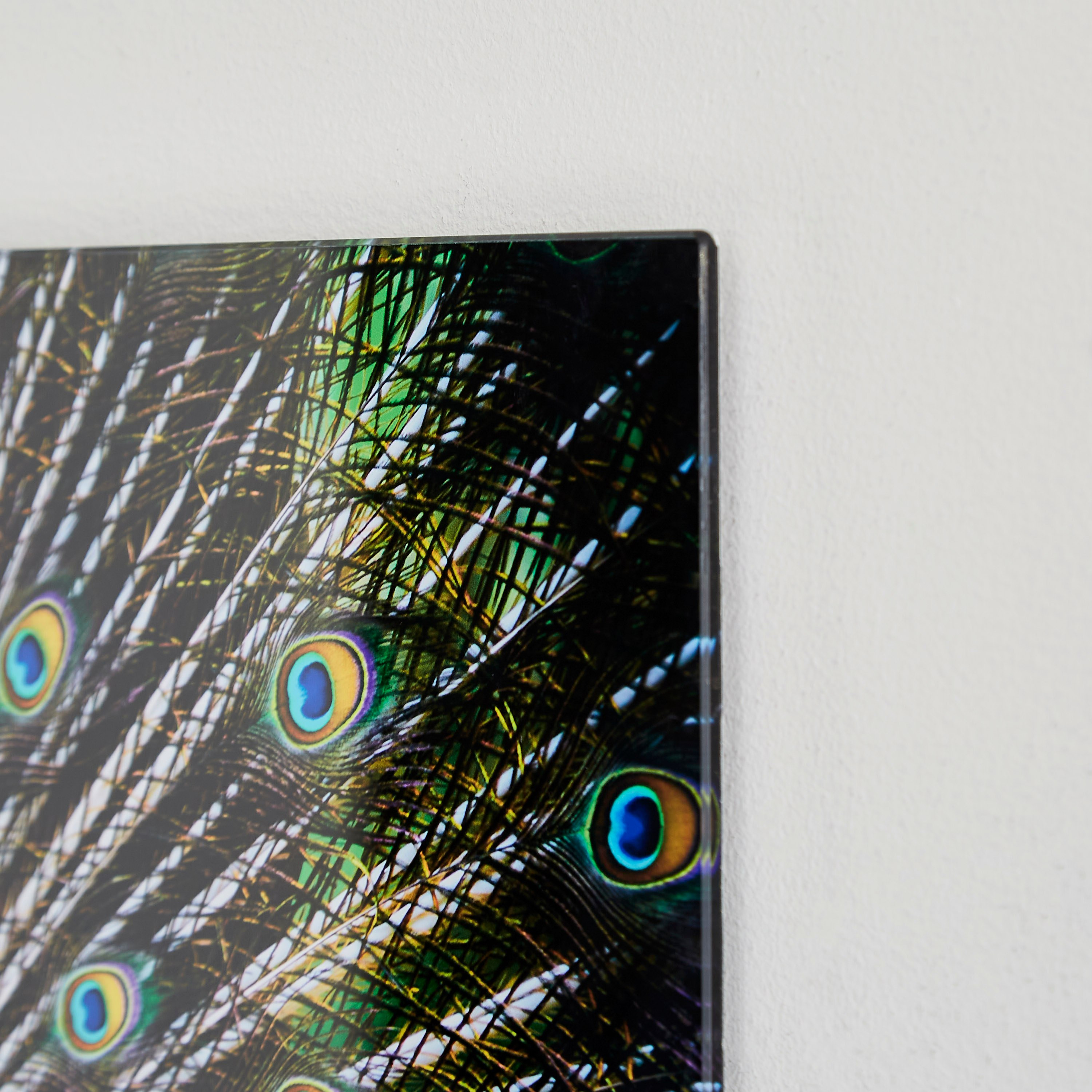 Claude Peacock Tempered Glass Wall Art - 60x1x40 cm-hbxhomeware-hbxdecorandfurnishings-image-3