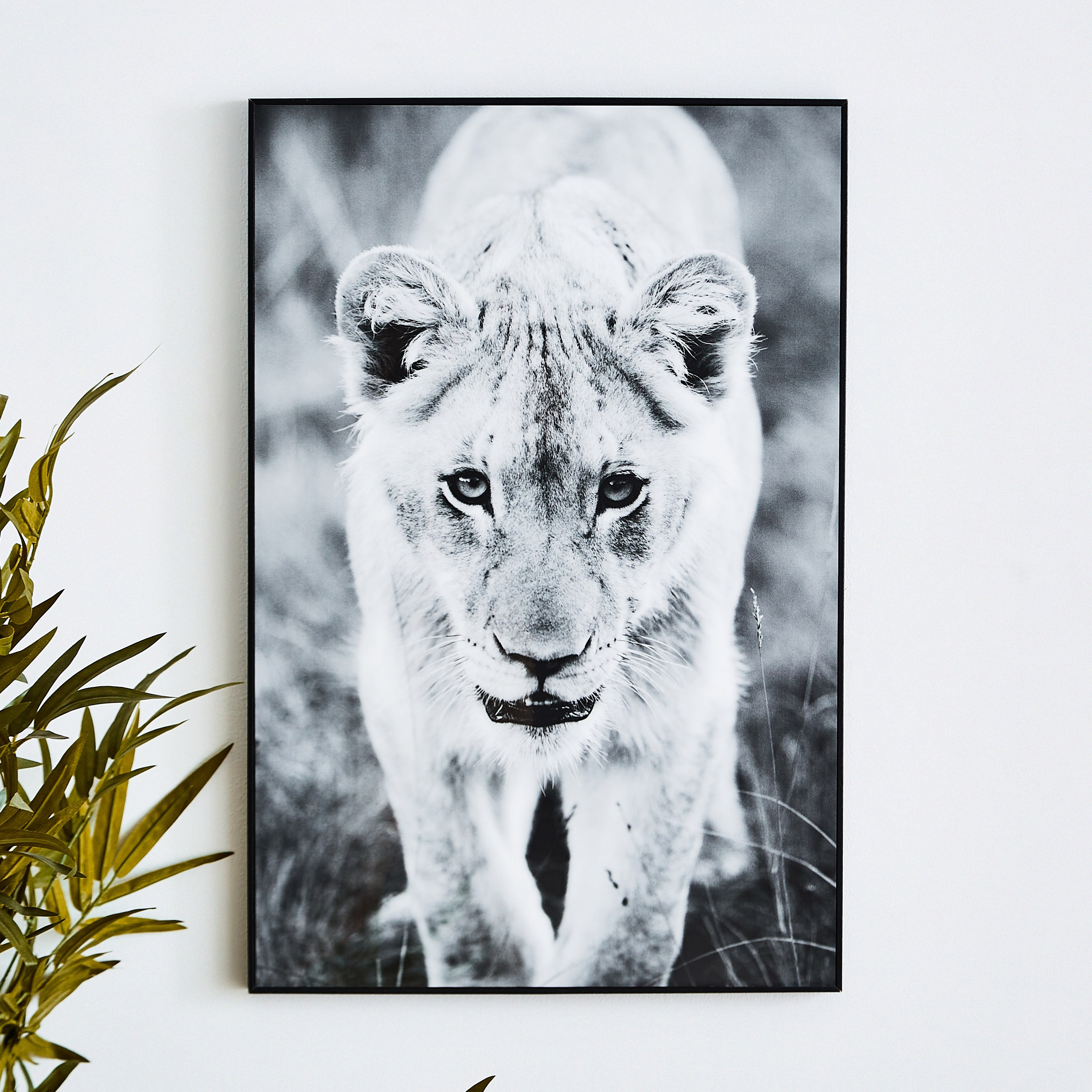 لوحة مؤطّرة لامعة لبؤة من بيترا - 40x3x60 سم-PROMO_HB_AE_B1G1_250925-image-1