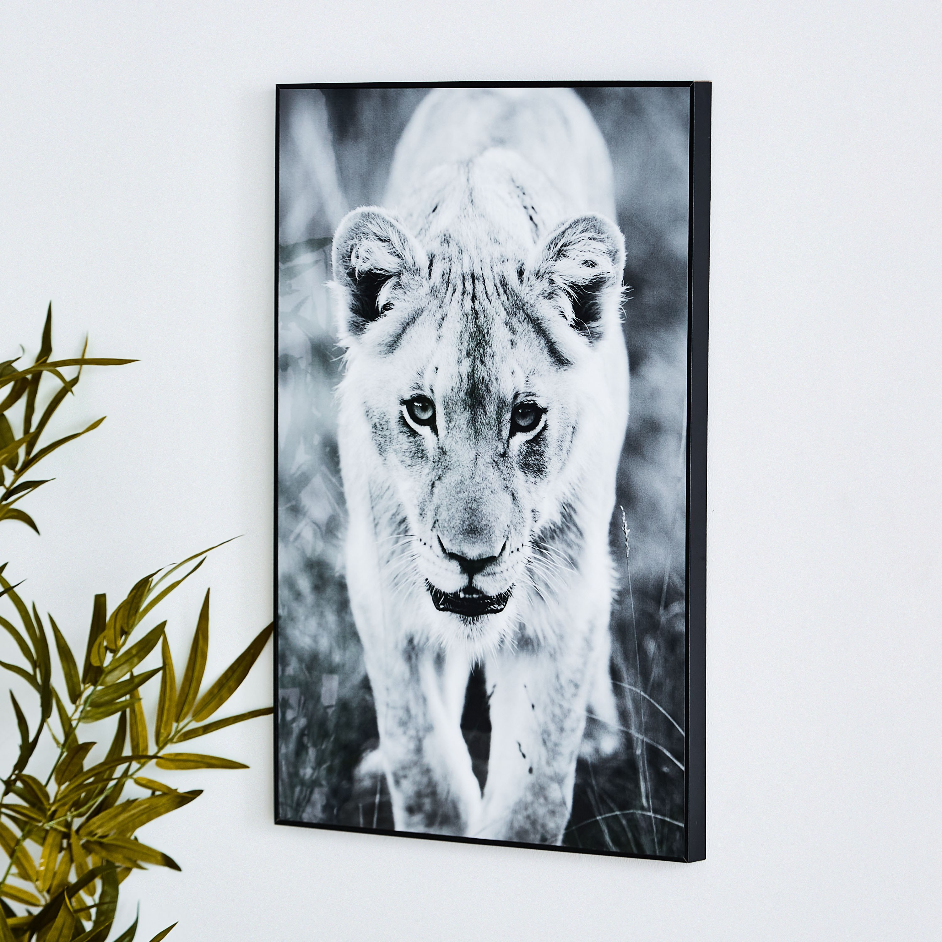 لوحة مؤطّرة لامعة لبؤة من بيترا - 40x3x60 سم-PROMO_HB_AE_B1G1_250925-image-2
