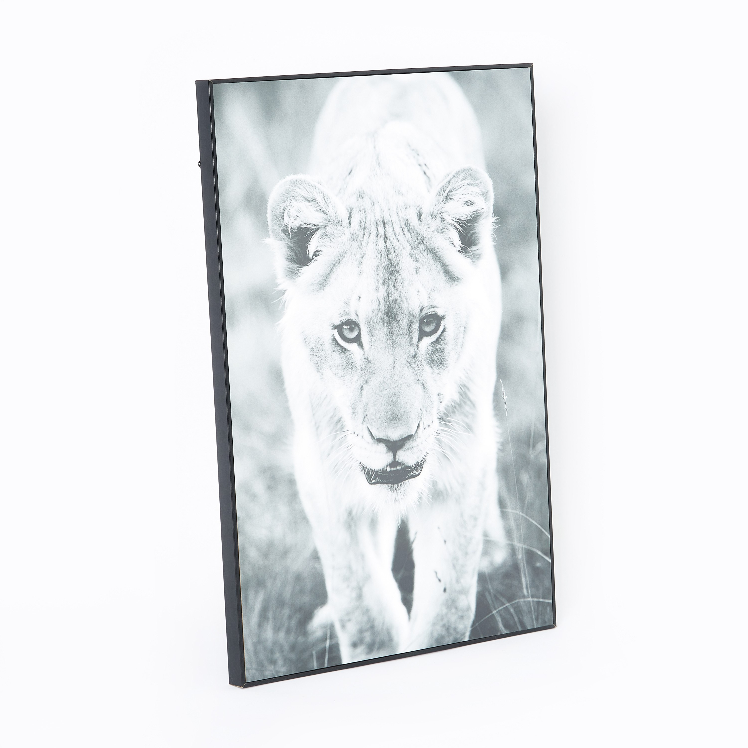 لوحة مؤطّرة لامعة لبؤة من بيترا - 40x3x60 سم-PROMO_HB_AE_B1G1_250925-image-5