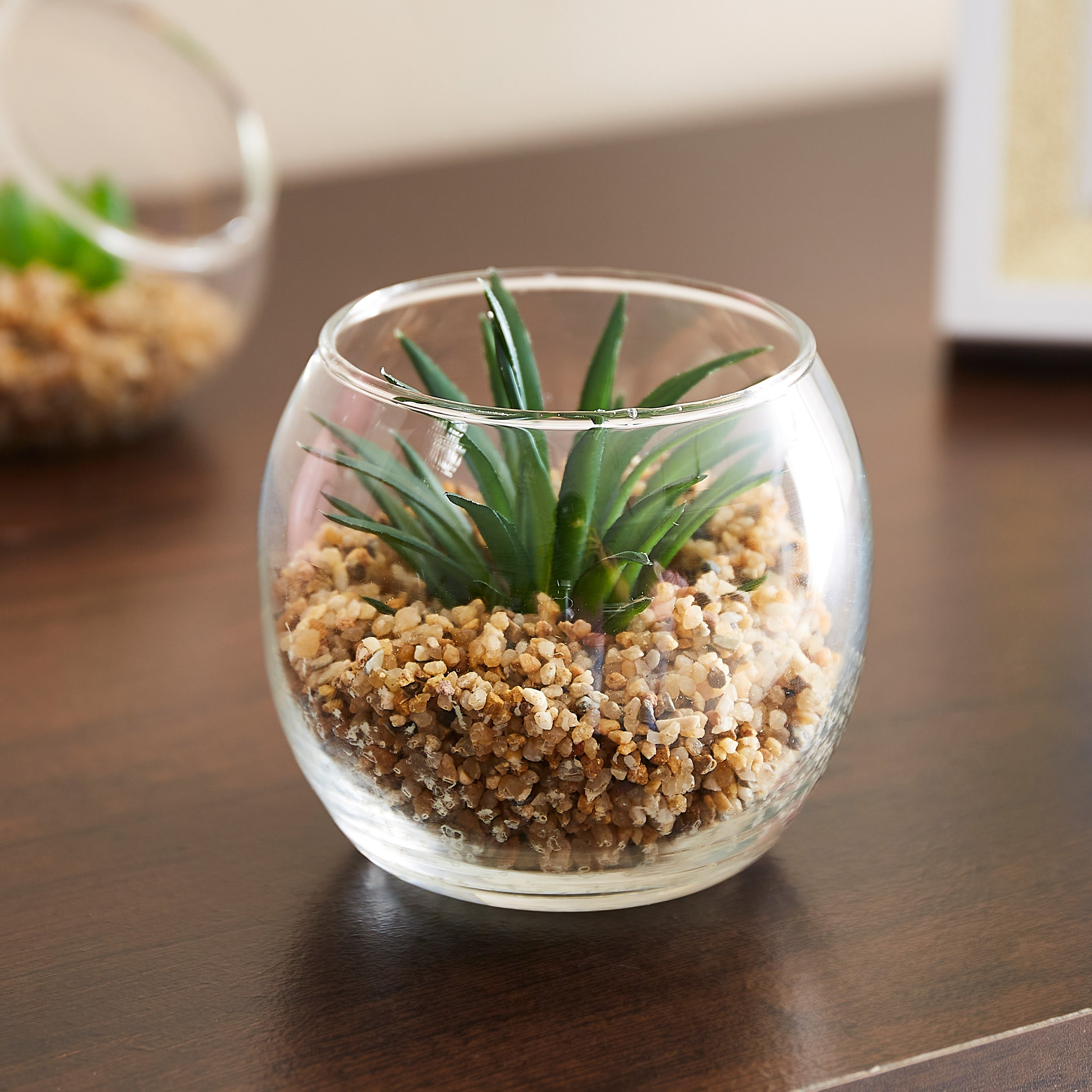 نبتة خضراء للتّعليق من فيندورا - 8x6.8 سم-hbxdecorandfurnishings-homeaccessories-artificialflowersandplants-image-1