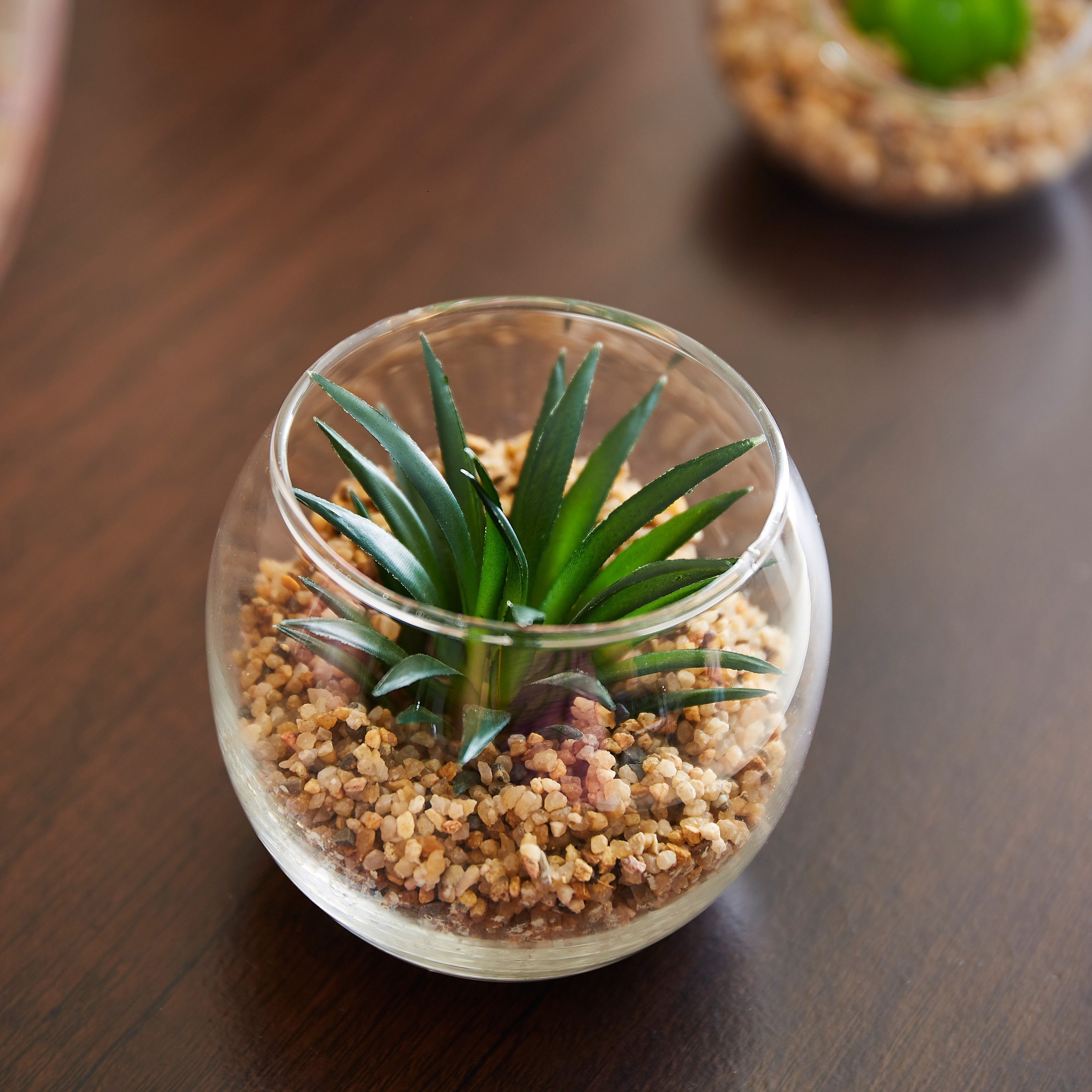 نبتة خضراء للتّعليق من فيندورا - 8x6.8 سم-hbxdecorandfurnishings-homeaccessories-artificialflowersandplants-image-2