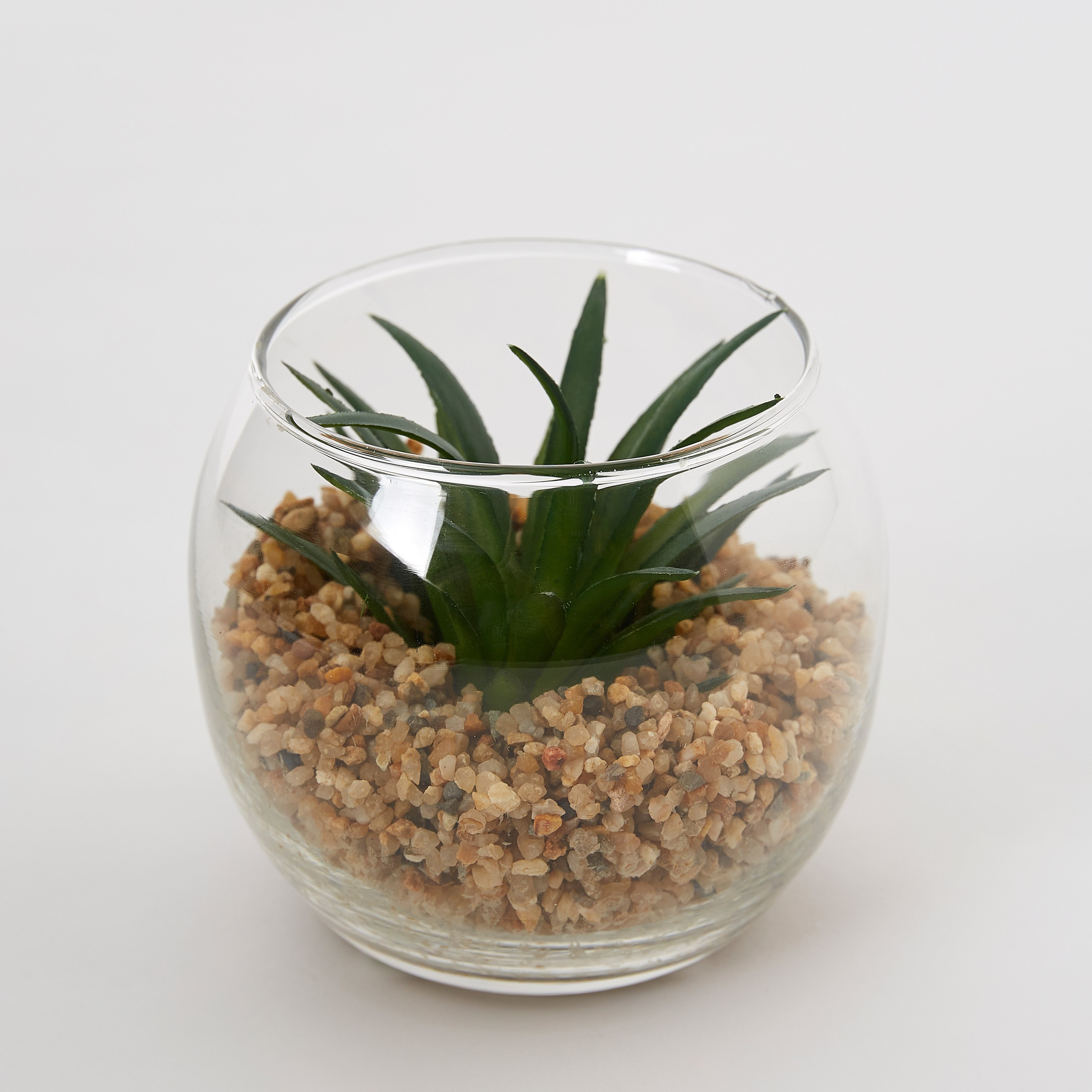نبتة خضراء للتّعليق من فيندورا - 8x6.8 سم-hbxdecorandfurnishings-homeaccessories-artificialflowersandplants-image-4
