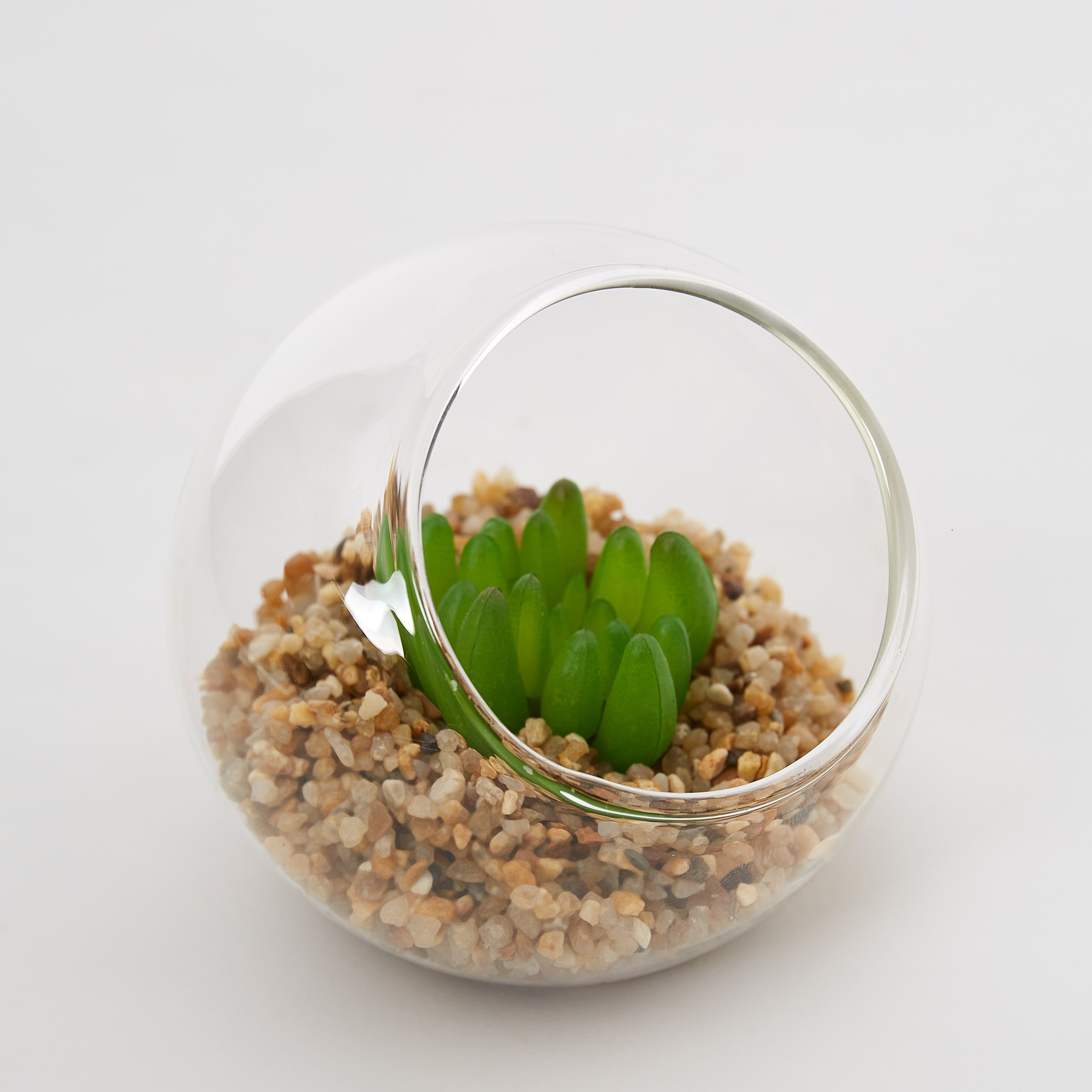 نبات مينول في إناء زجاجي شفاف من فيردورا-hbxdecorandfurnishings-homeaccessories-artificialflowersandplants-image-4